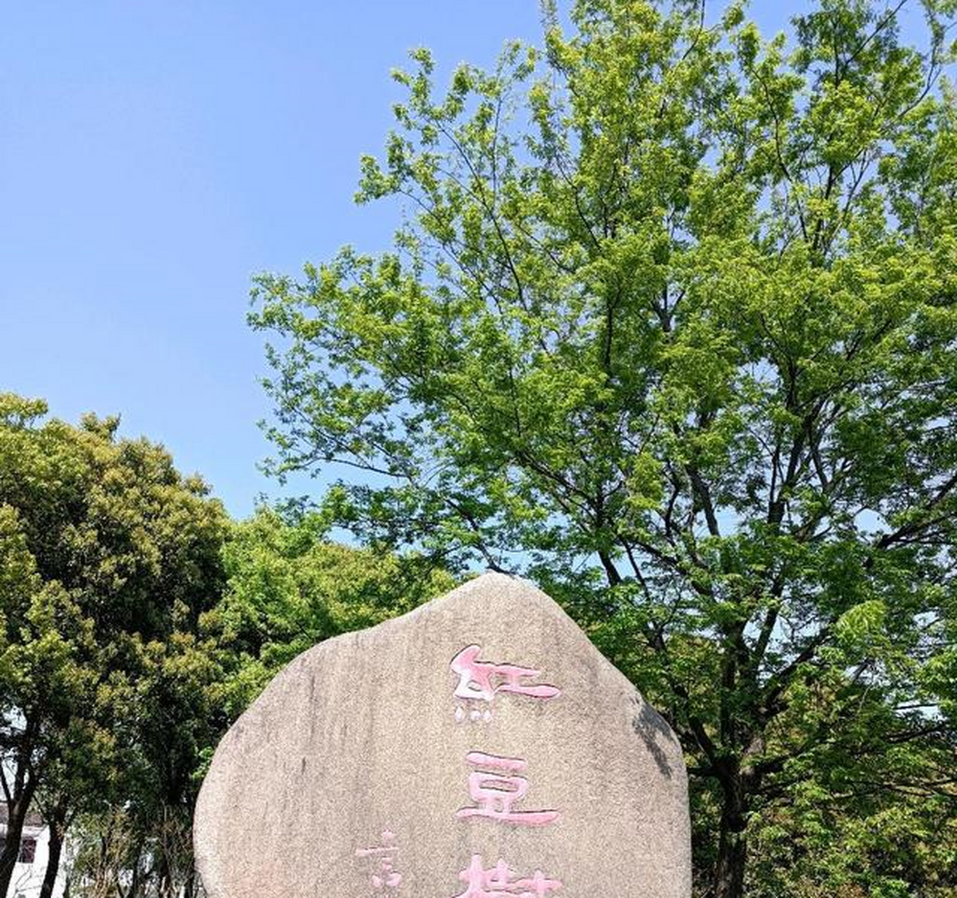 江阴顾山红豆村