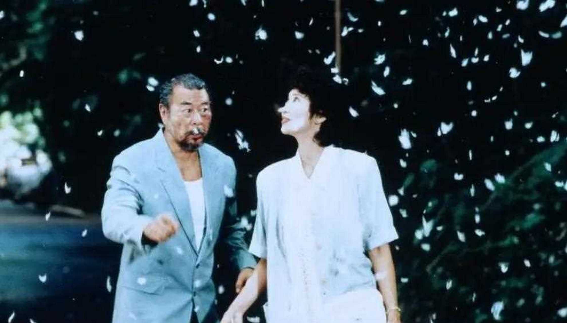 女人,四十[亲亲] 看许鞍华的老电影《女人四十》,一个一闪而过的镜头