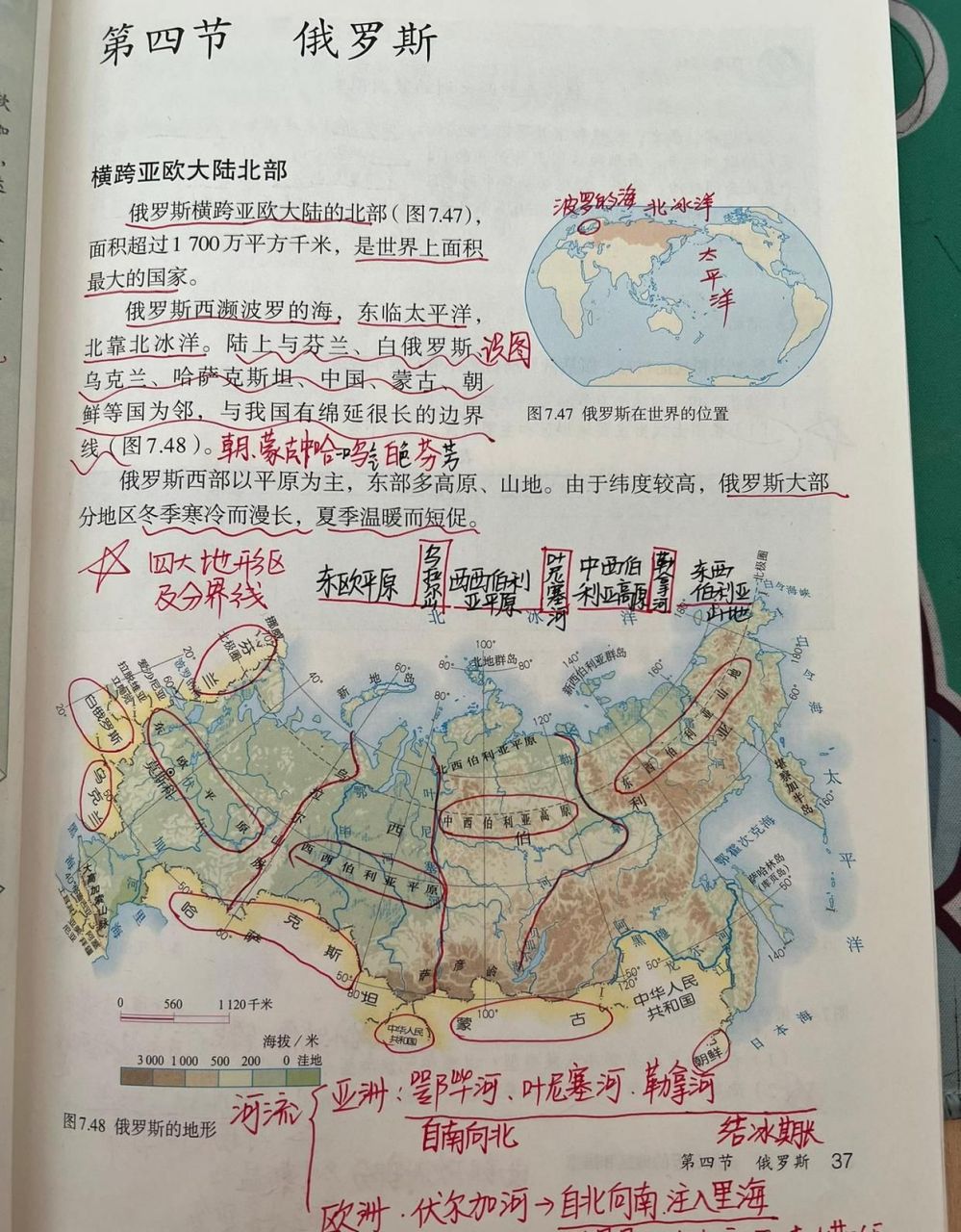七年级地理下册第四节"俄罗斯",重要知识点都标注出来了.