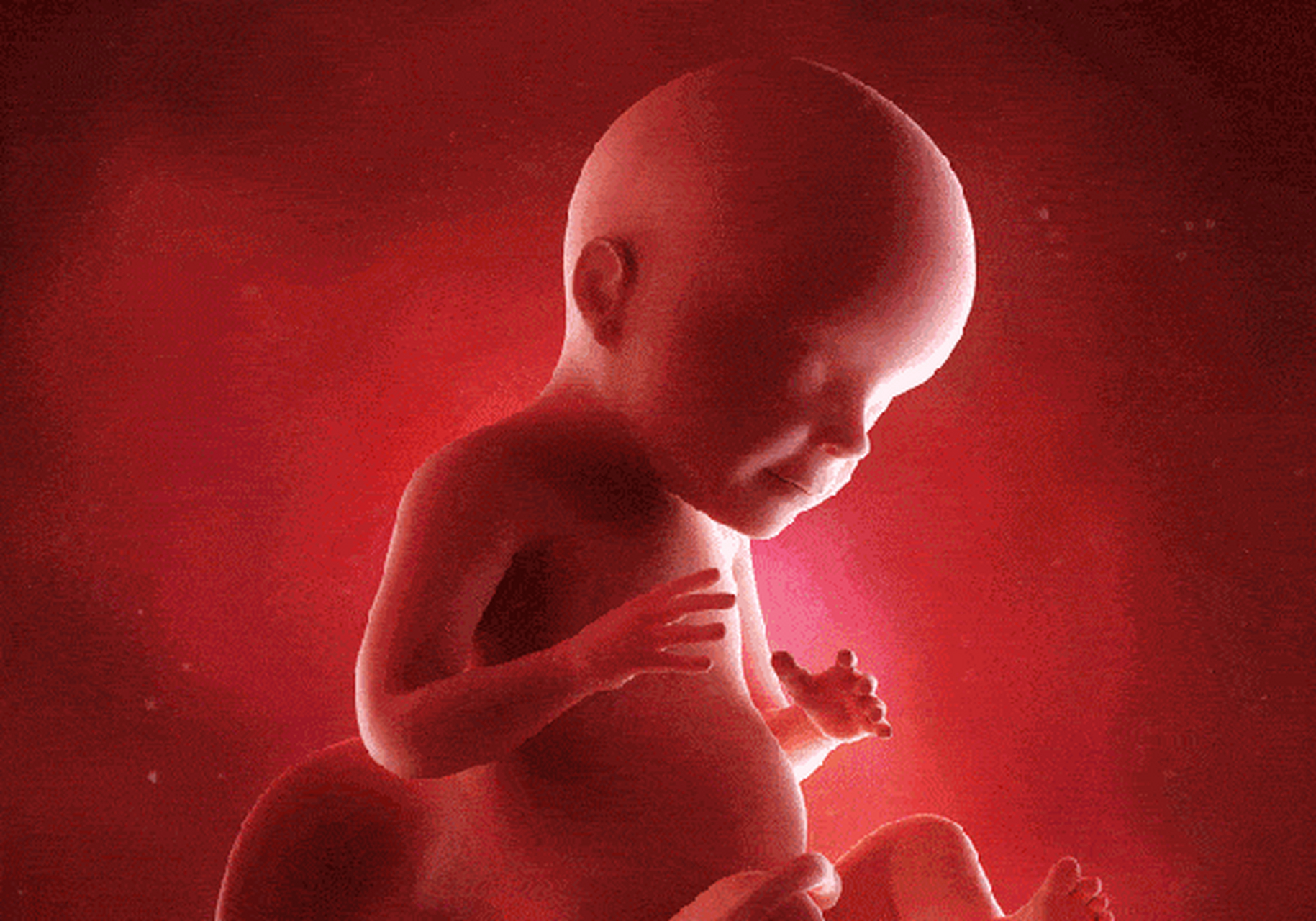 怀孕29周,胎儿大概有多大?