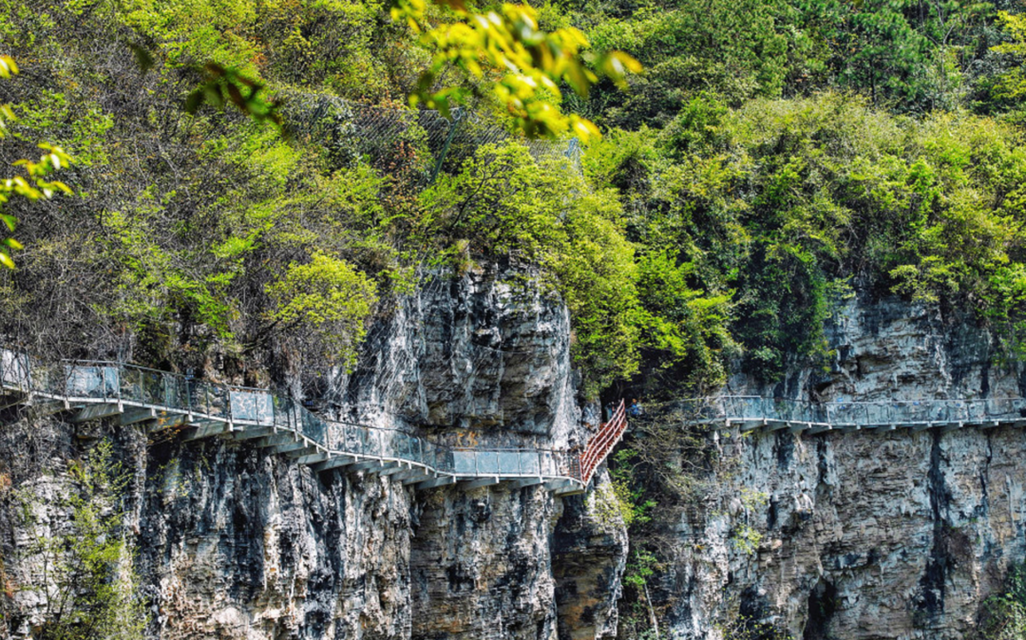 【春游龙里】走进双龙镇·巫山峡谷,切身体会林海间隙中的险峡深涧