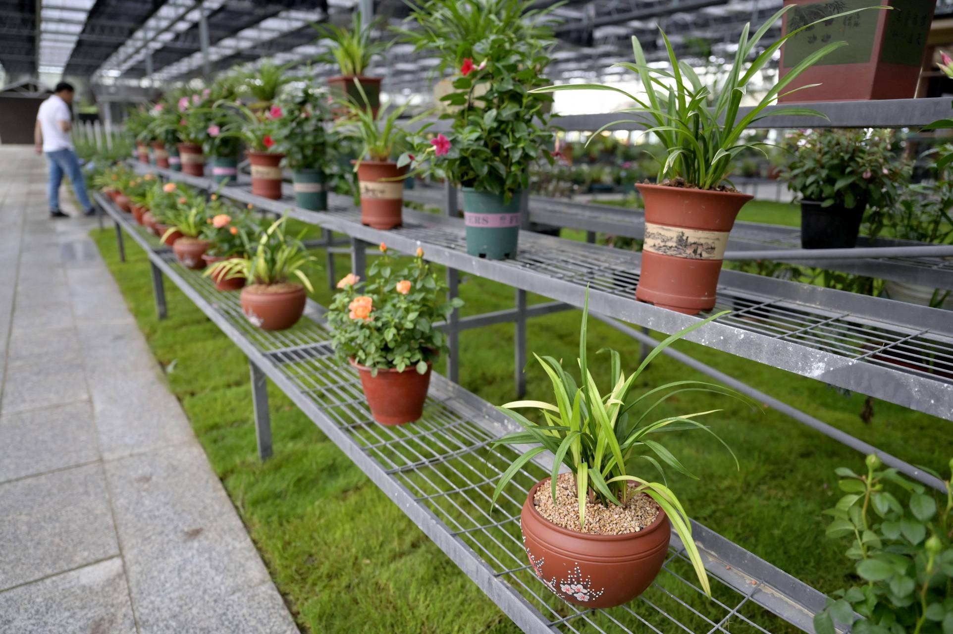 "描述的就是绍兴柯桥区棠棣村.