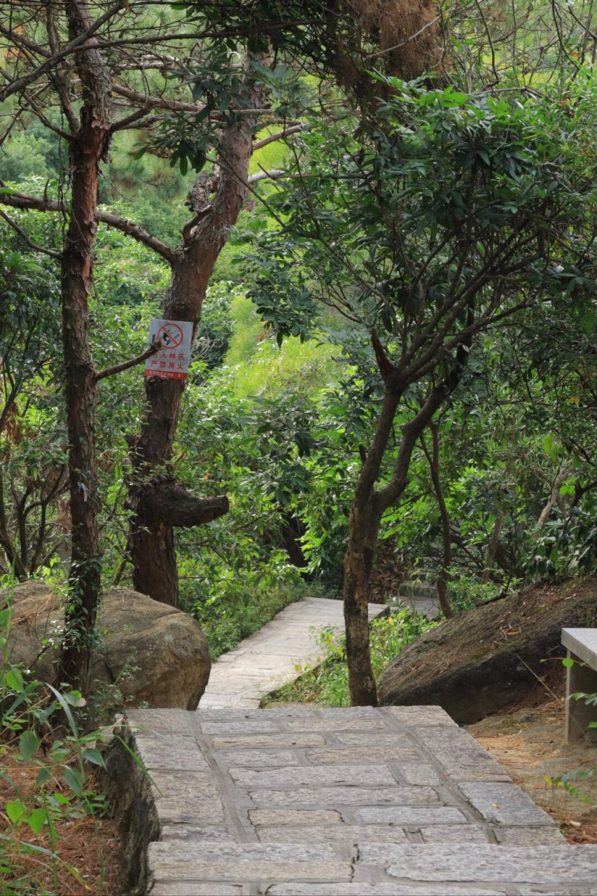 厦门 ‖ 磨心山 步道 这是个徒步的好地方  我是从东入口进 北路口出