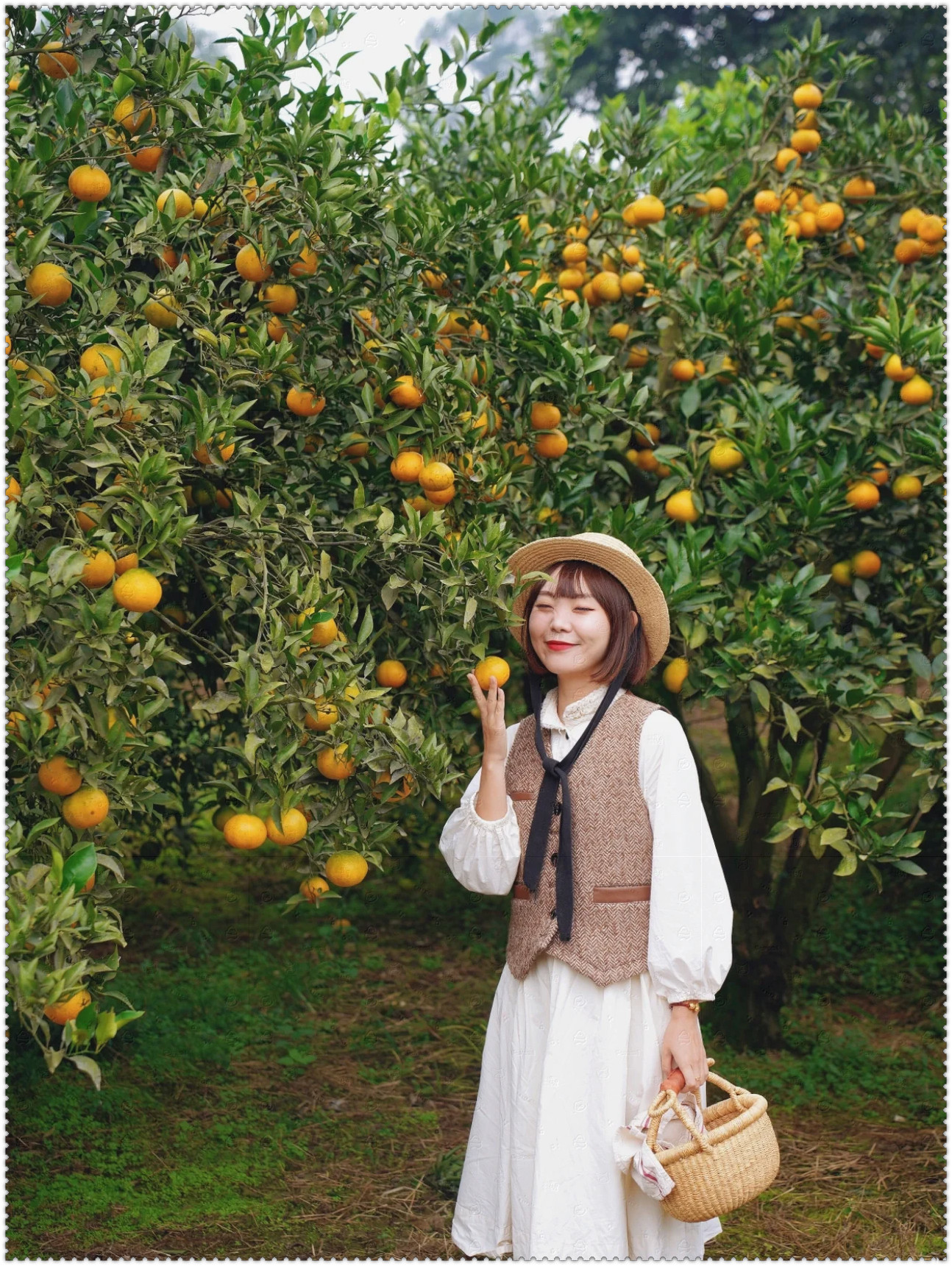 亲爱的小伙伴们,你们知道吗?