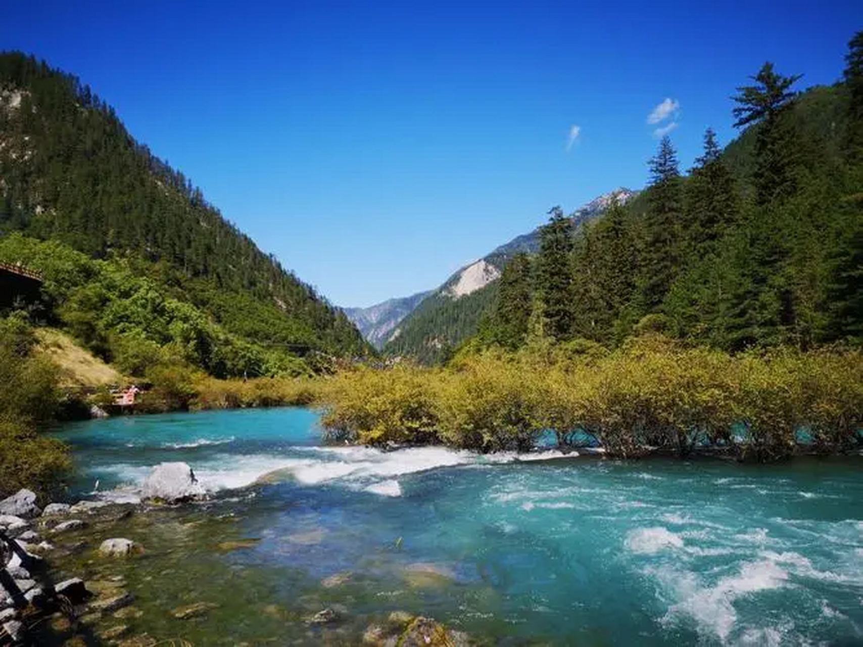 树正沟,它处于九寨沟风景区"y"型布局的下支,从沟口起到诺日朗瀑布