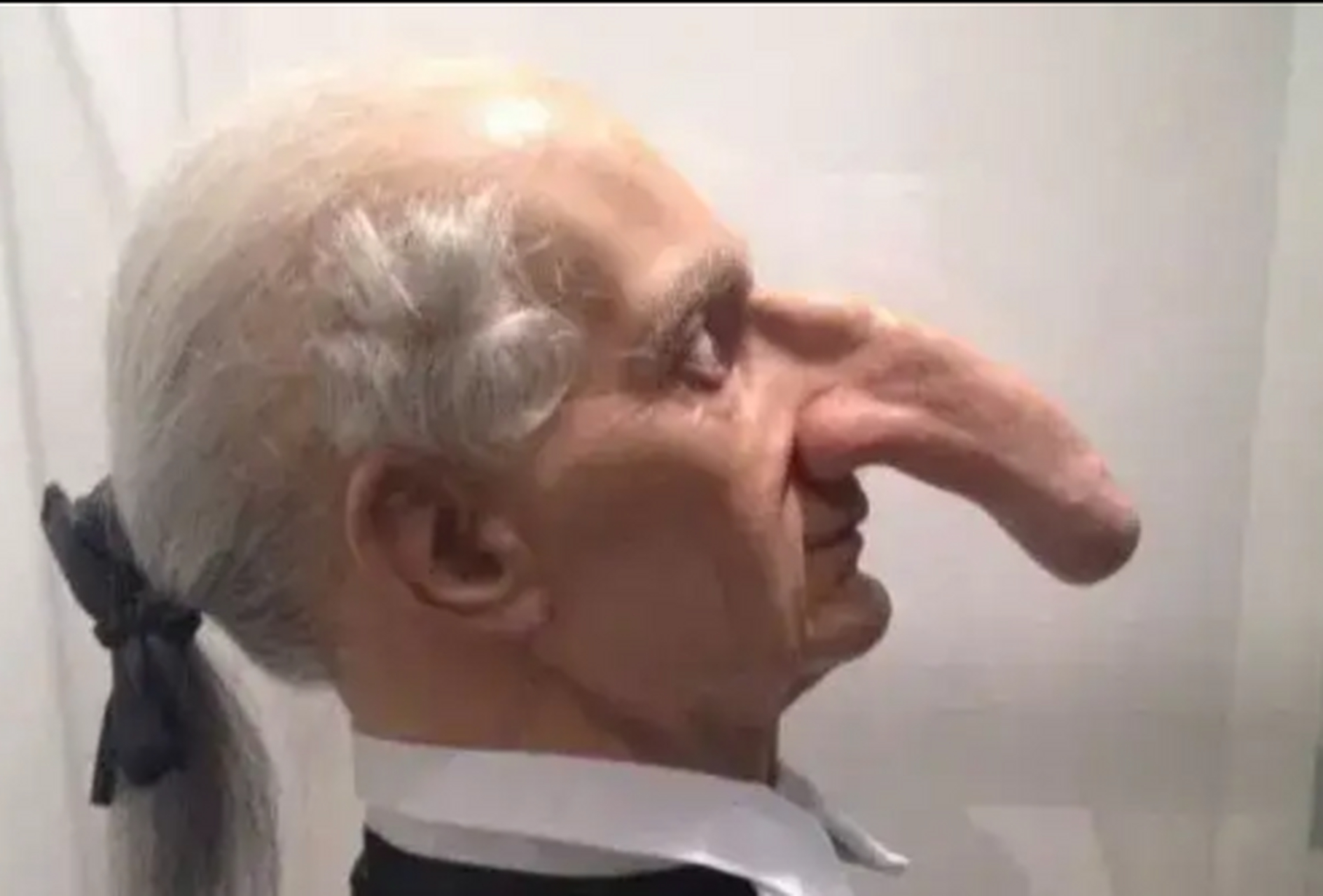 原来世界上真有长鼻子的人.