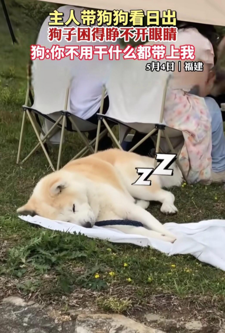 你不用怕我不开心,也不用干什么都带上我