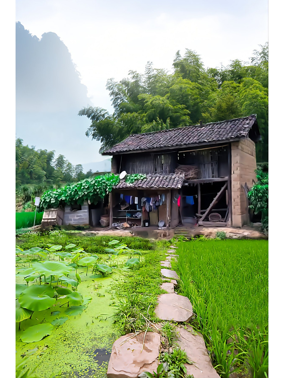 待我了无牵挂,从此归隐天  深山草屋为家,远离都市繁华,忙时修篱种花