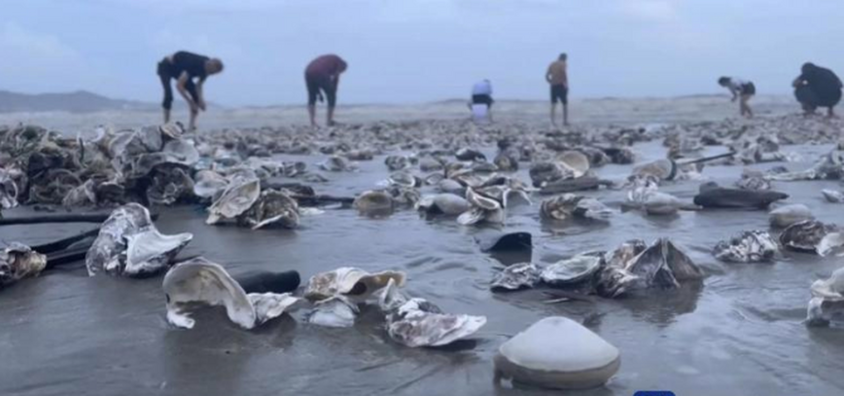 7月17日晚间,今年第4号台风"泰利"在广东省湛江市南三岛沿海登陆,登陆