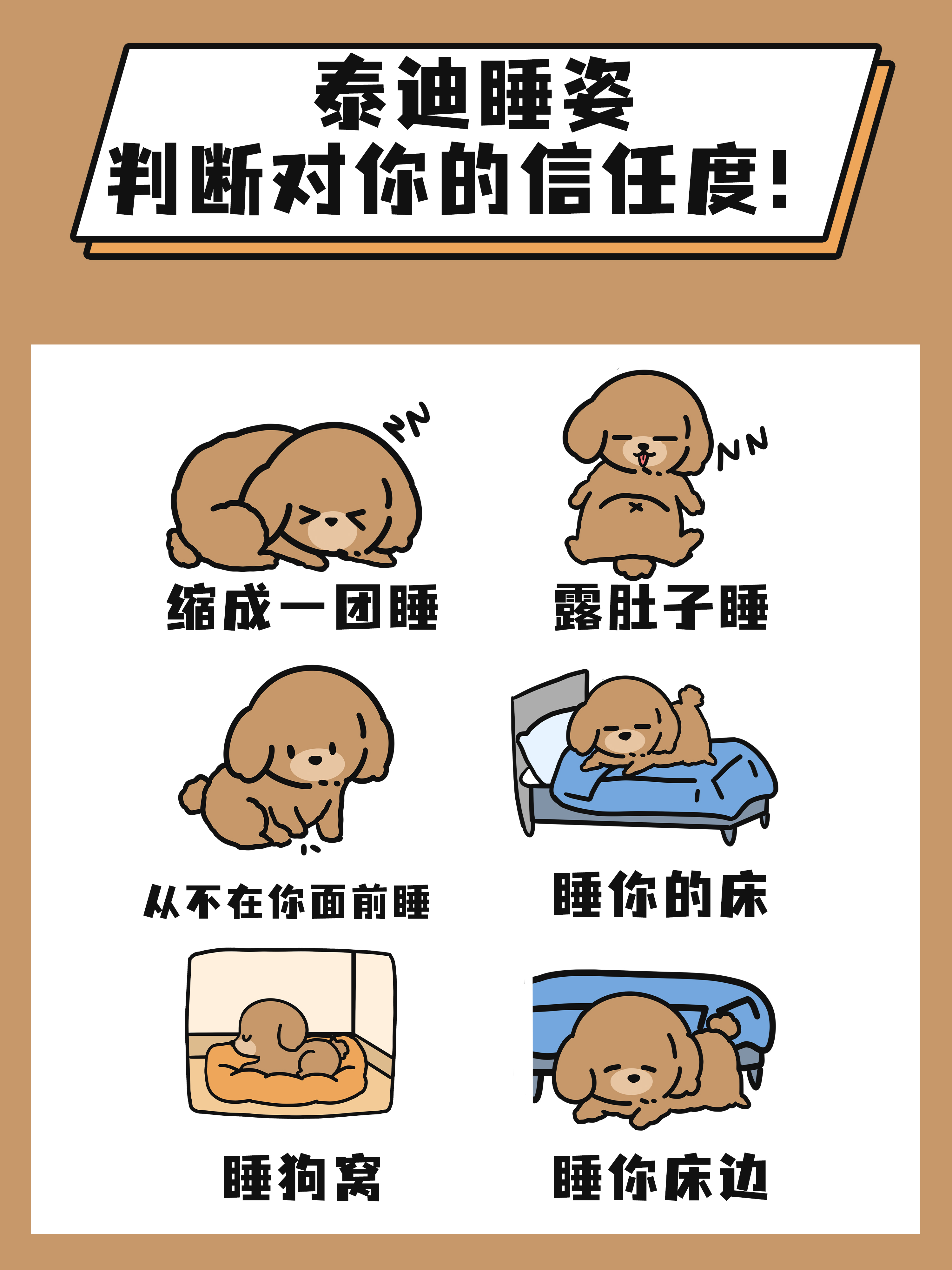 包含为家里面的狗超度的词条