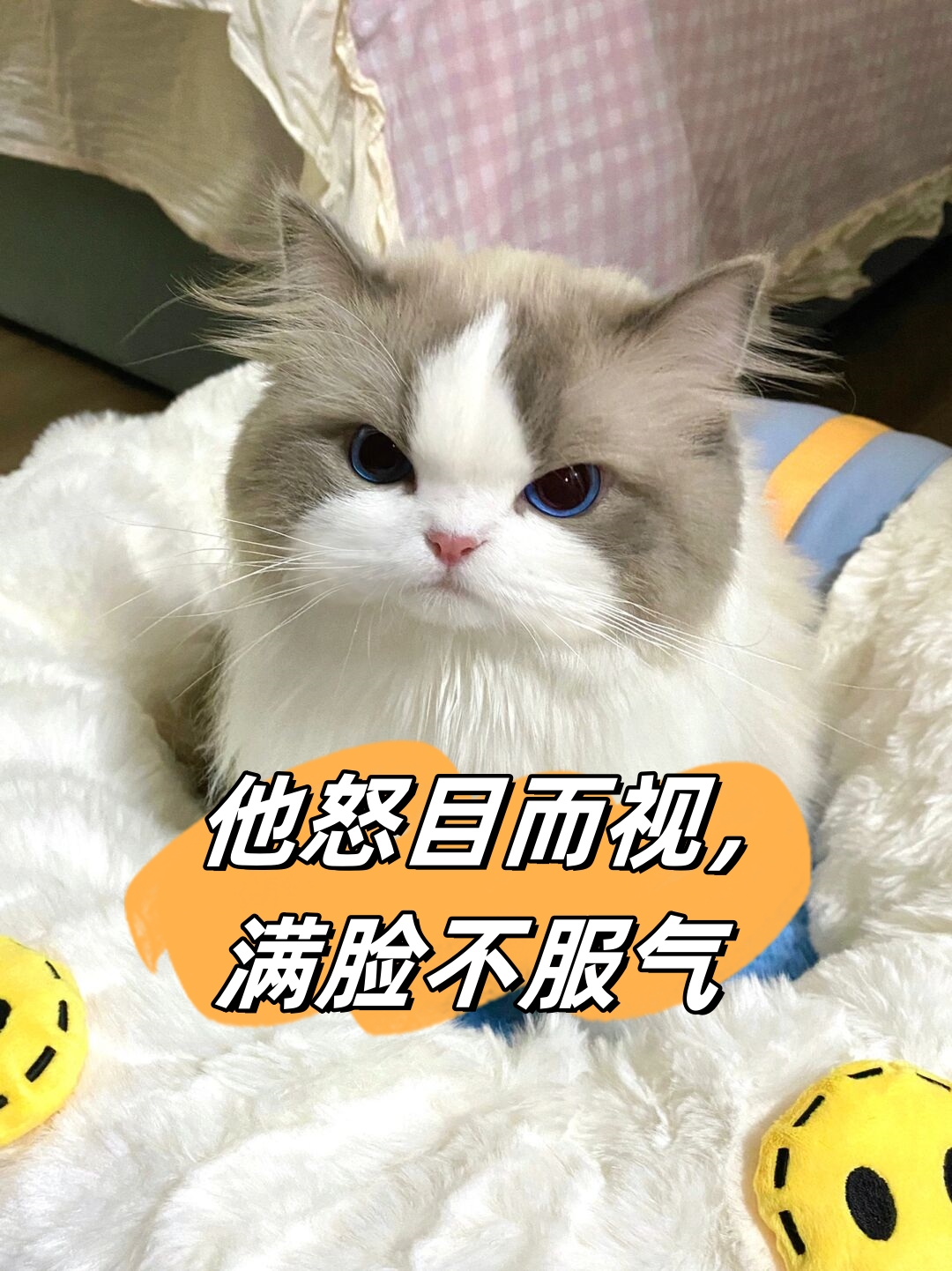 他怒目而视,满脸不服气