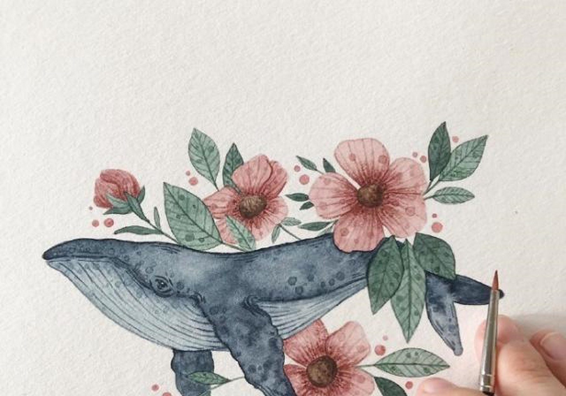 一组小清新风水彩鲸鱼画,每一张都好可爱呀