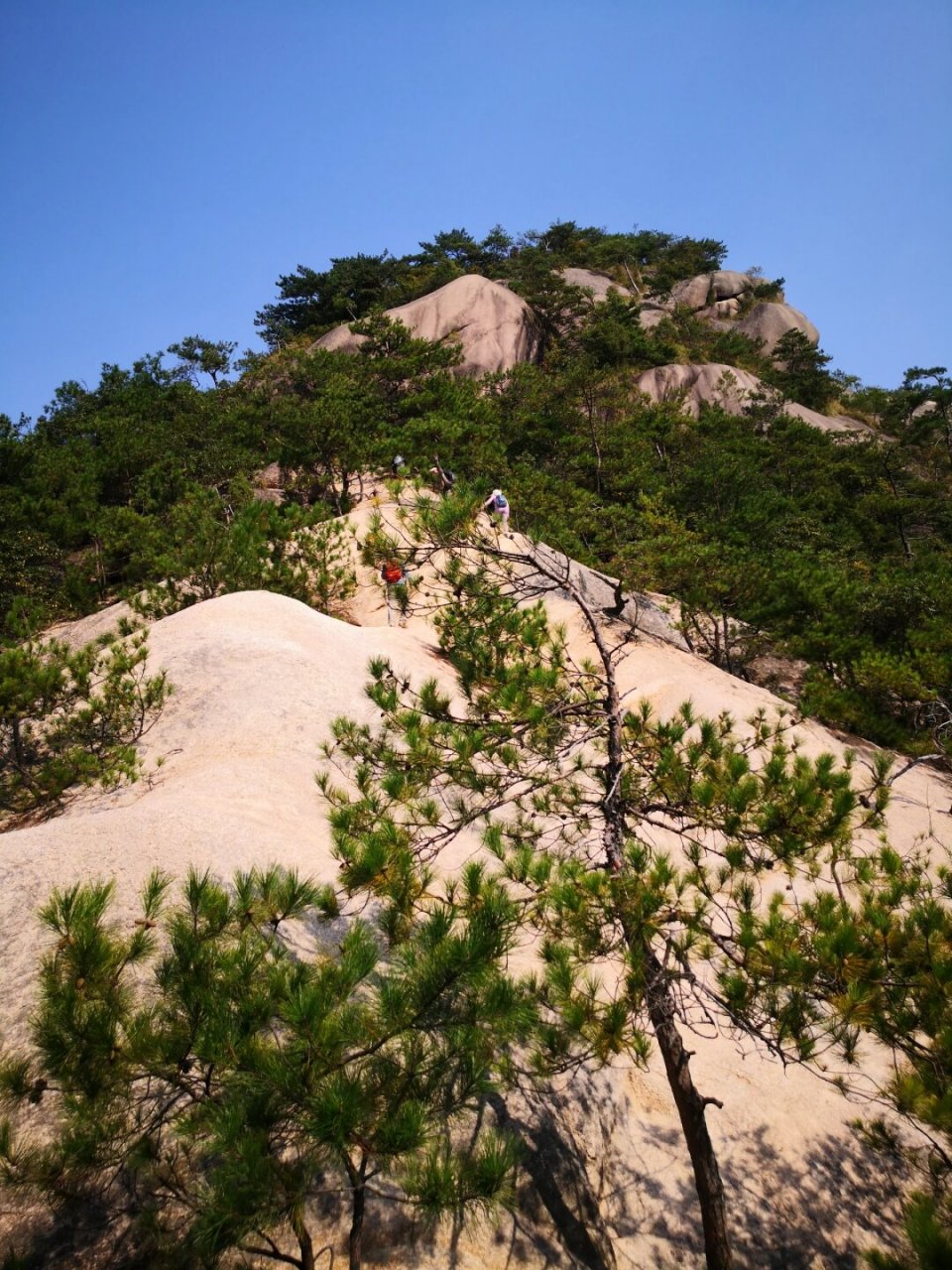 安徽绩溪龙须山,好玩有趣很惊艳  78徒步路线:龙须山,全程10.
