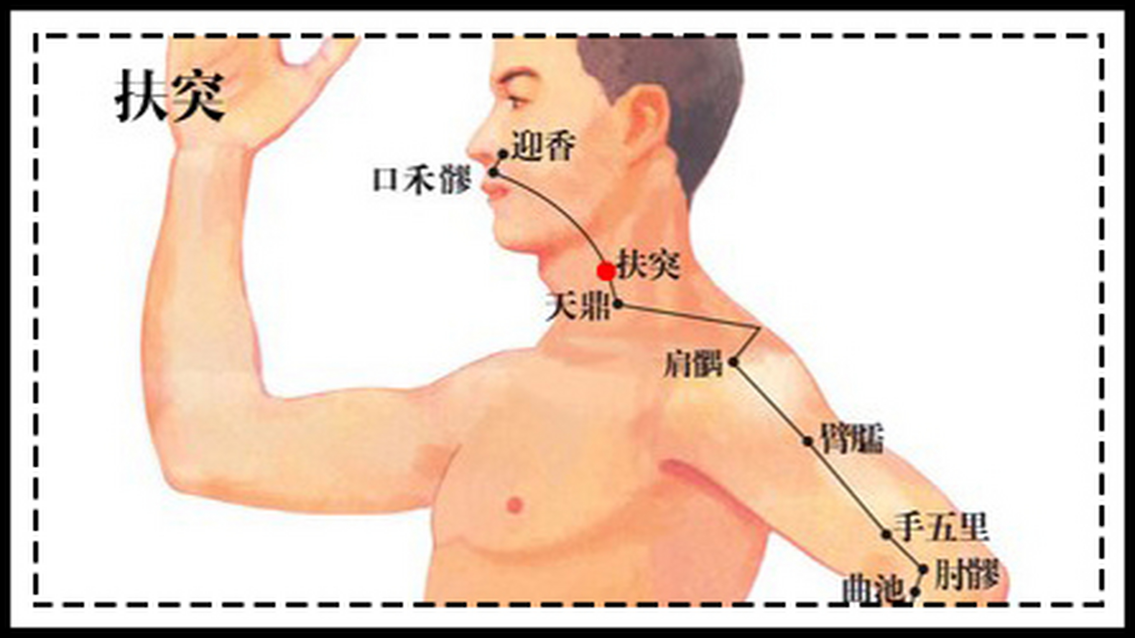 人体穴位 扶突别名水穴.扶,帮助,扶持也.突,冲也.