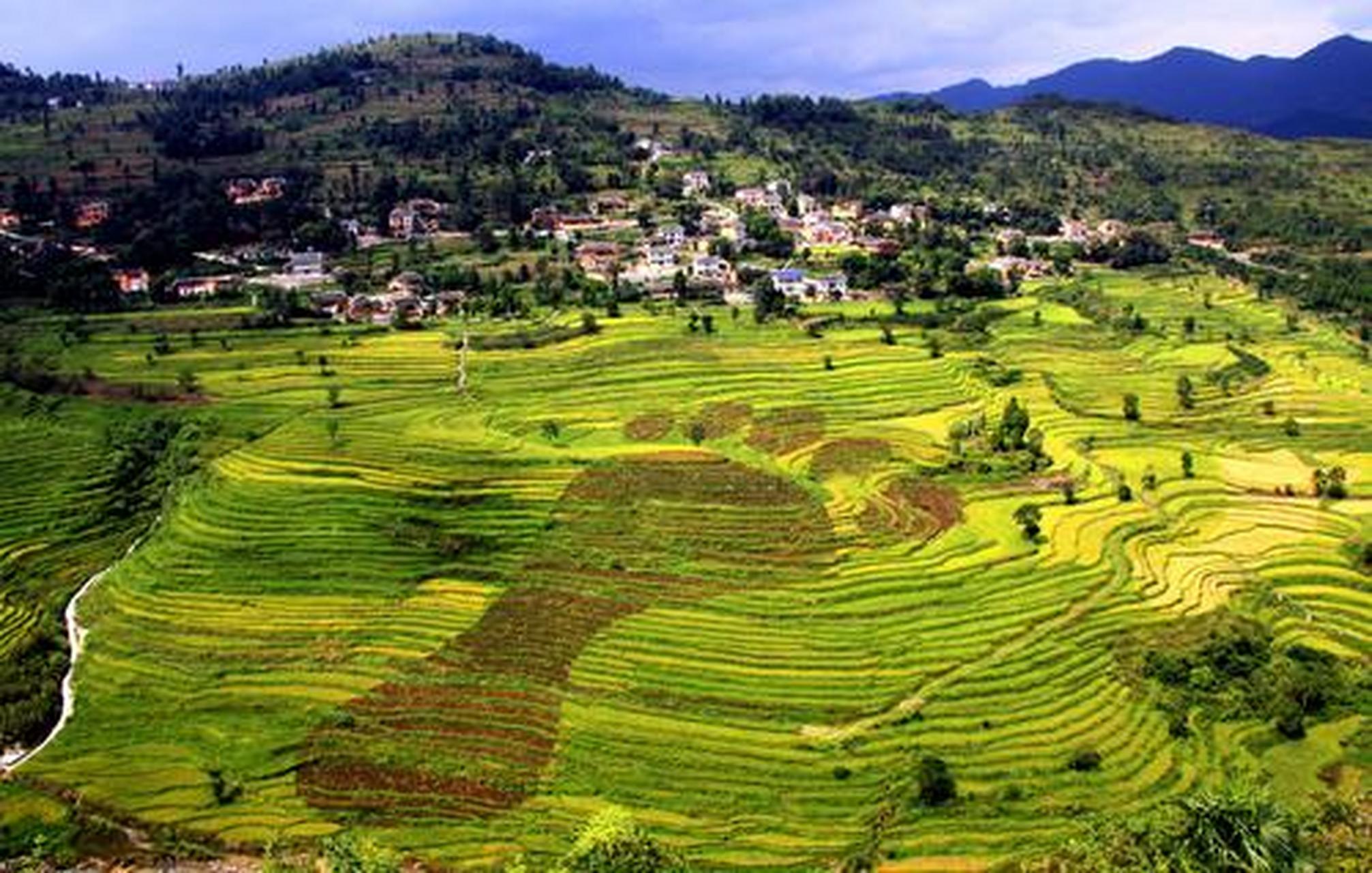 夏日生活图鉴# 遵义市余庆县大乌江镇红渡梯田:红渡梯田位于贵州省