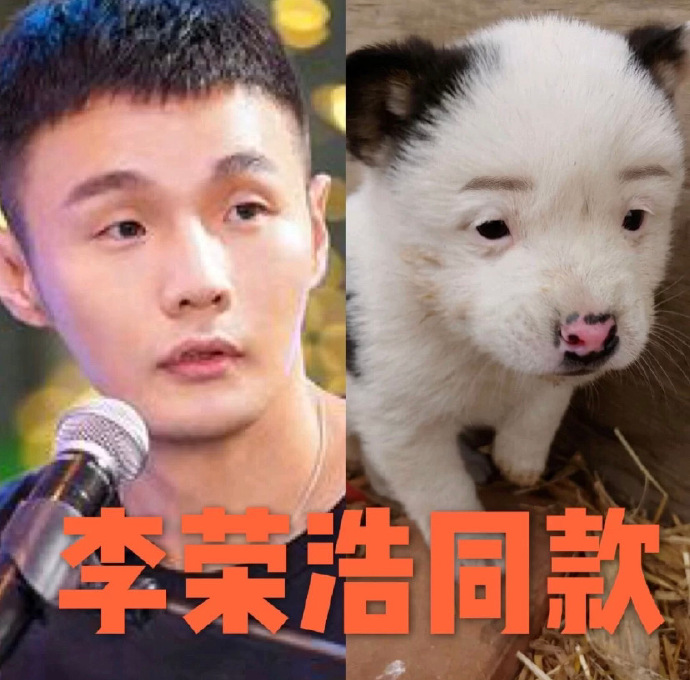 李荣浩这个太像了哈哈哈哈,但还是透着可爱的