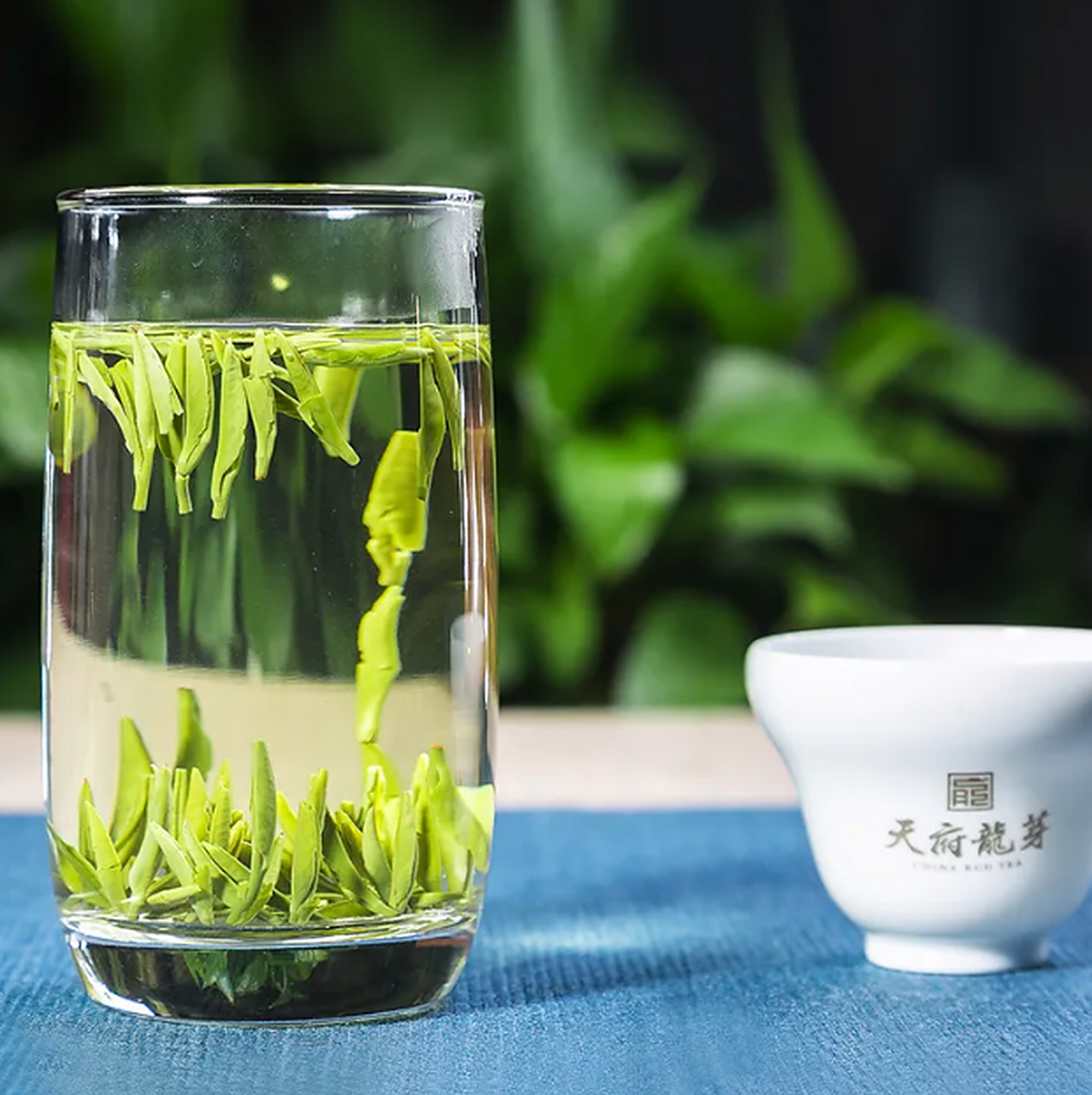 叙府龙芽,四川十大名茶,产自宜宾市翠屏区,钓鱼台国宾馆指定用茶,采用