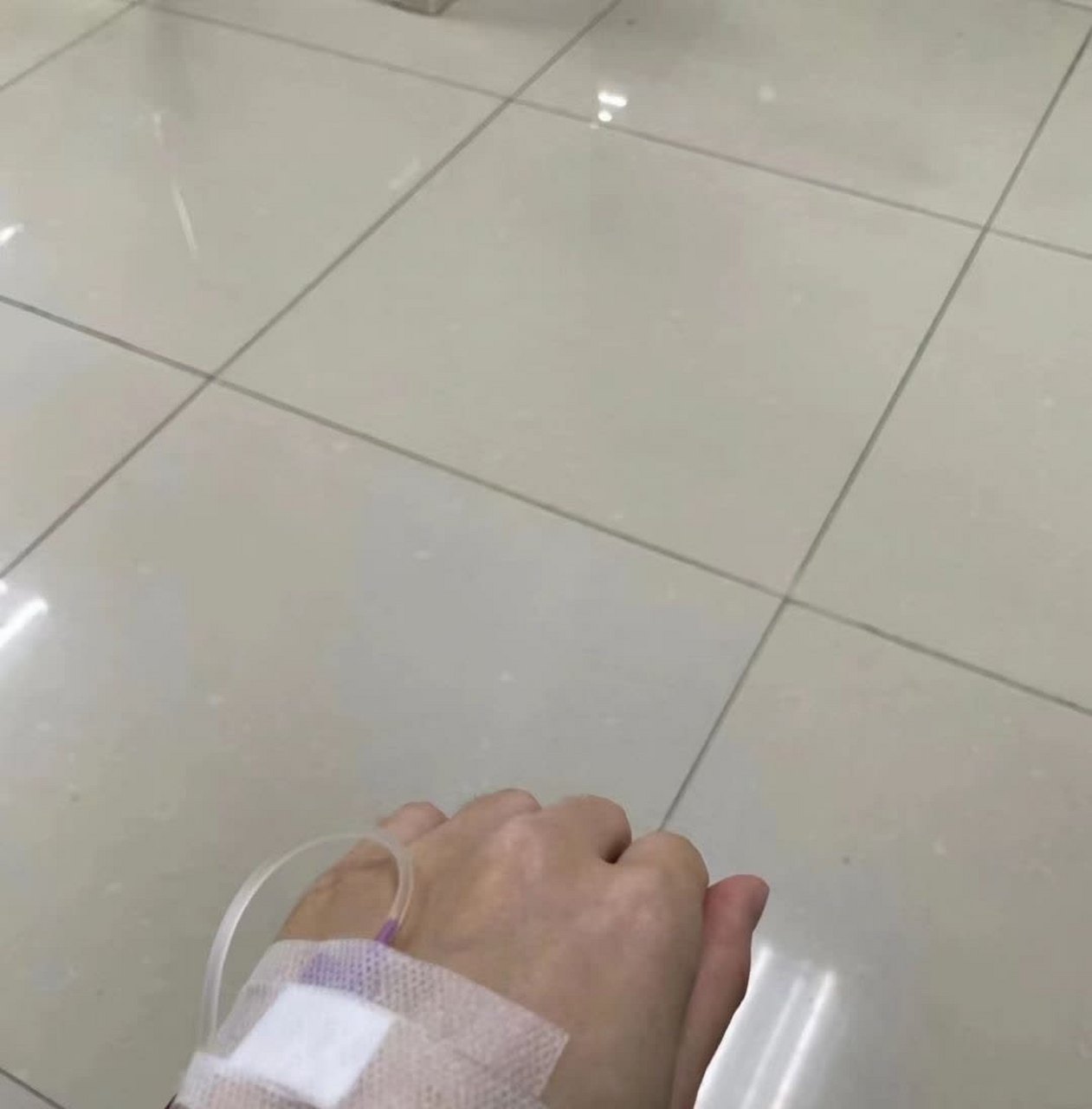 作为老师,你怎么辨别这是网上图片还是真品呢?[二哈]