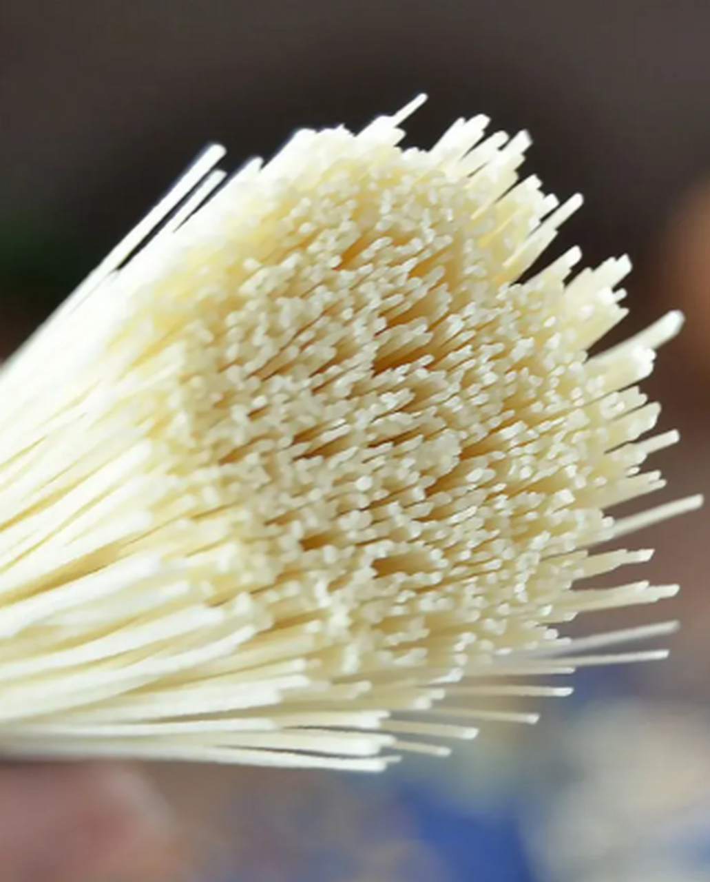 石家庄藁城宫面,根根空心,煮熟后一窝金丝吸饱了热汤,根根透亮,想想都