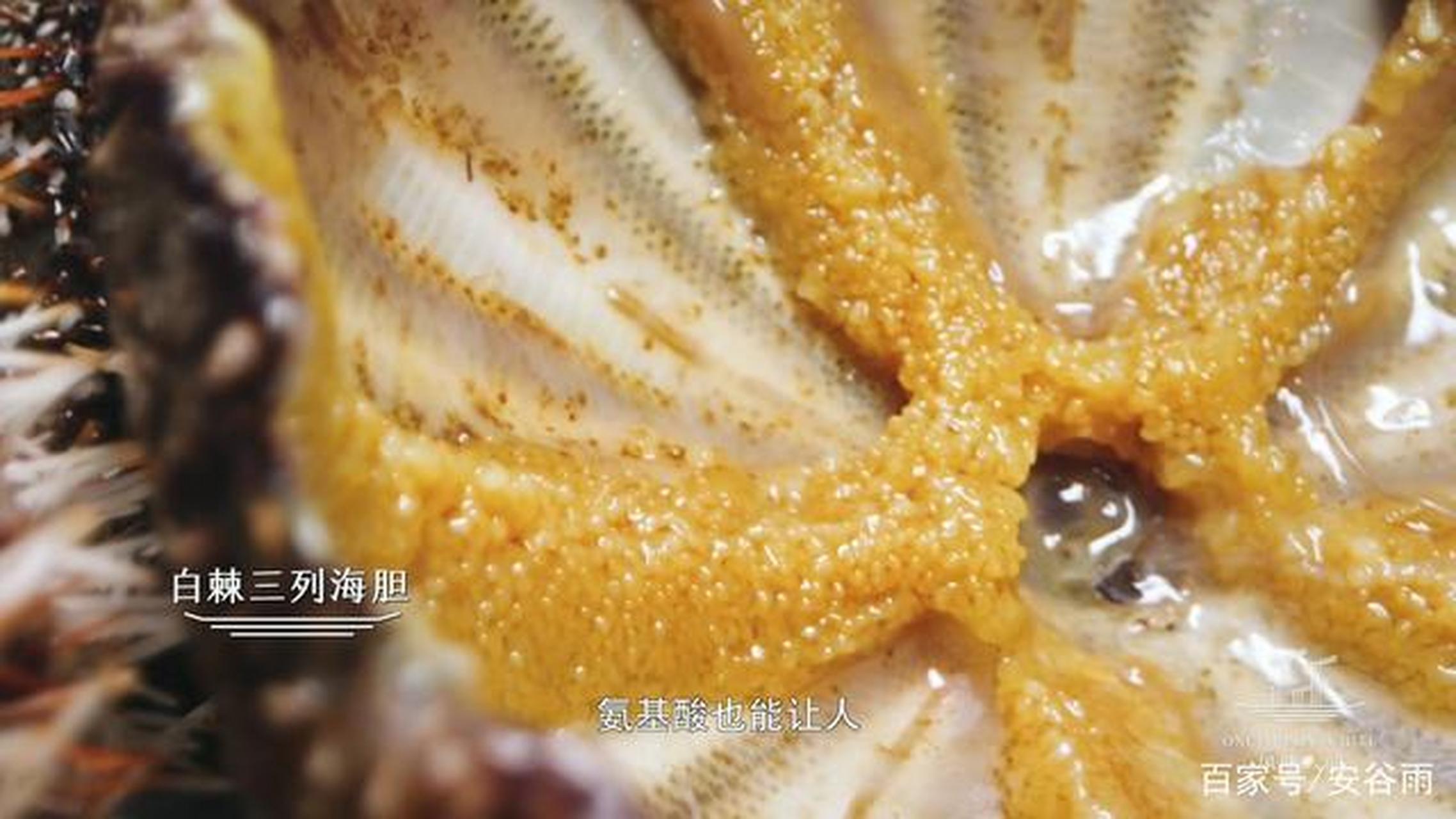 马来西亚的塔塔甘岛,那里生活着世界上最后一支海洋民族.