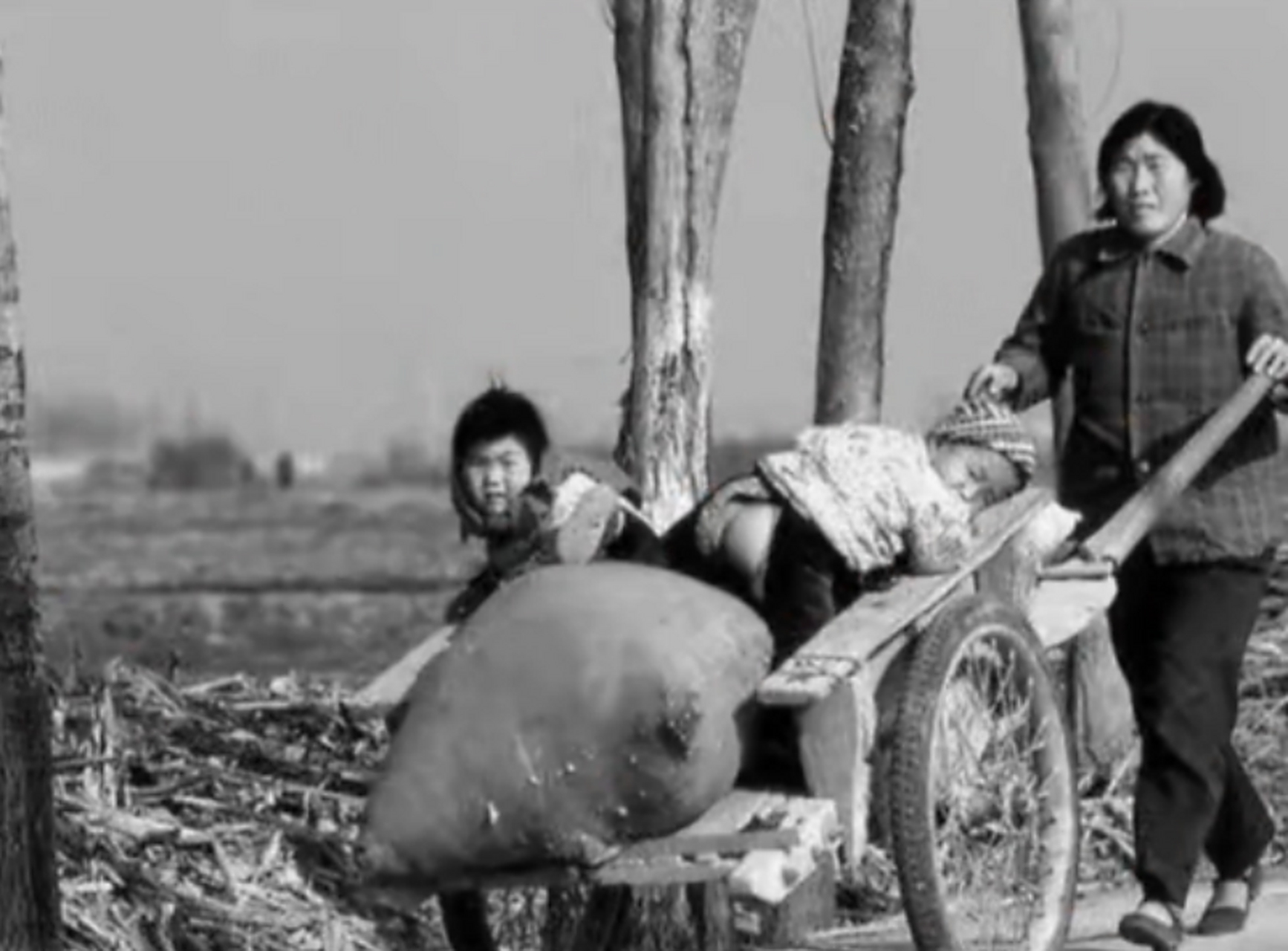 80年代,平板车上的记忆