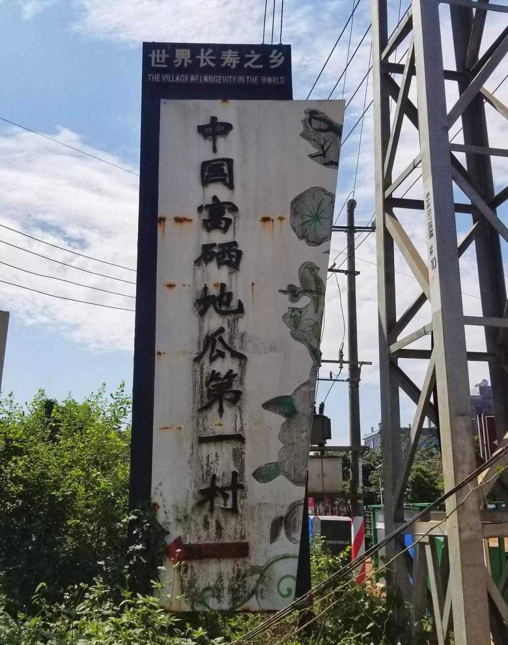 海南澄迈县的桥头镇,打卡世界长寿之乡富硒地瓜第一村,桥头地瓜25元