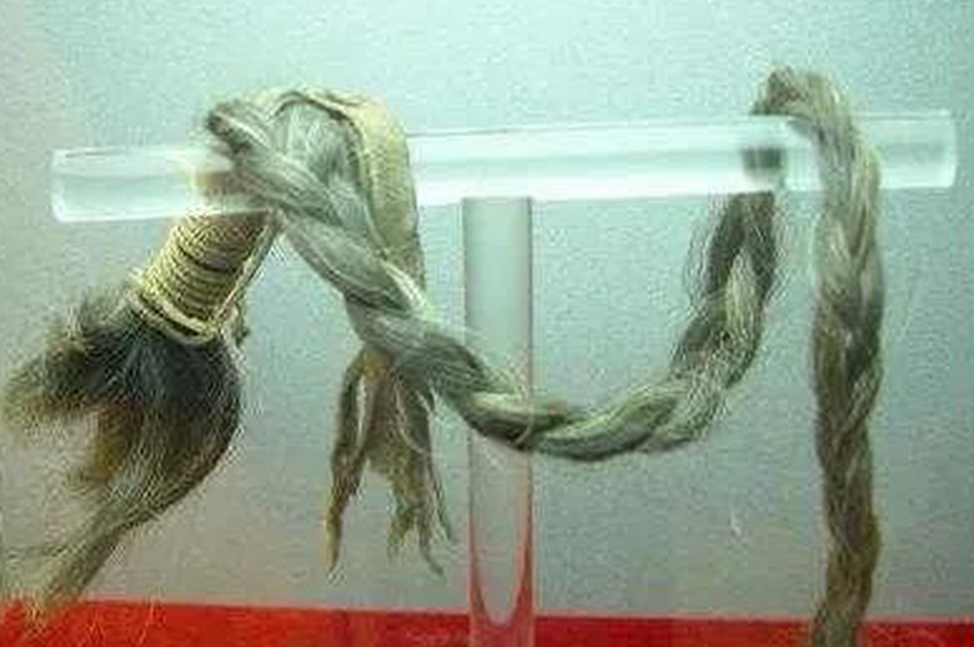 孙殿英从乾隆头上扯下的辫子,回想当年,一代大帝乾隆爷这辫子是多么的