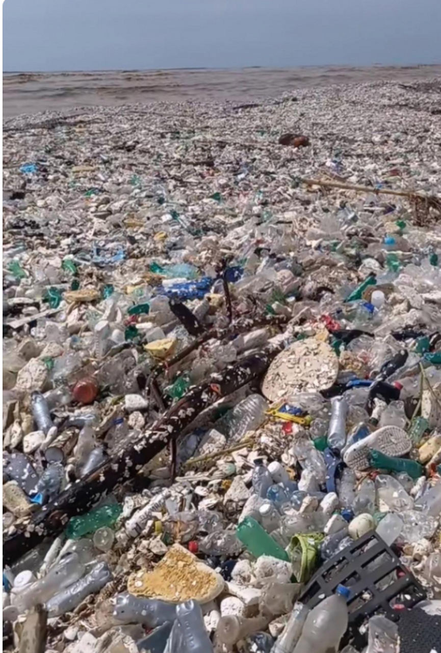 人类太可怕了,地球就是这样被破坏的,建议好好爱护我们环境,保护大