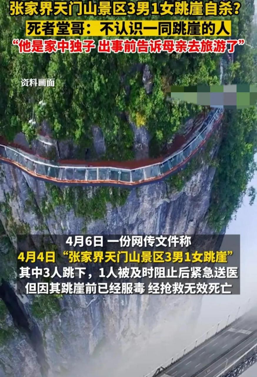张家界天门山景区3男1女组团跳崖自杀, 表面看四个人来自天南海北并不