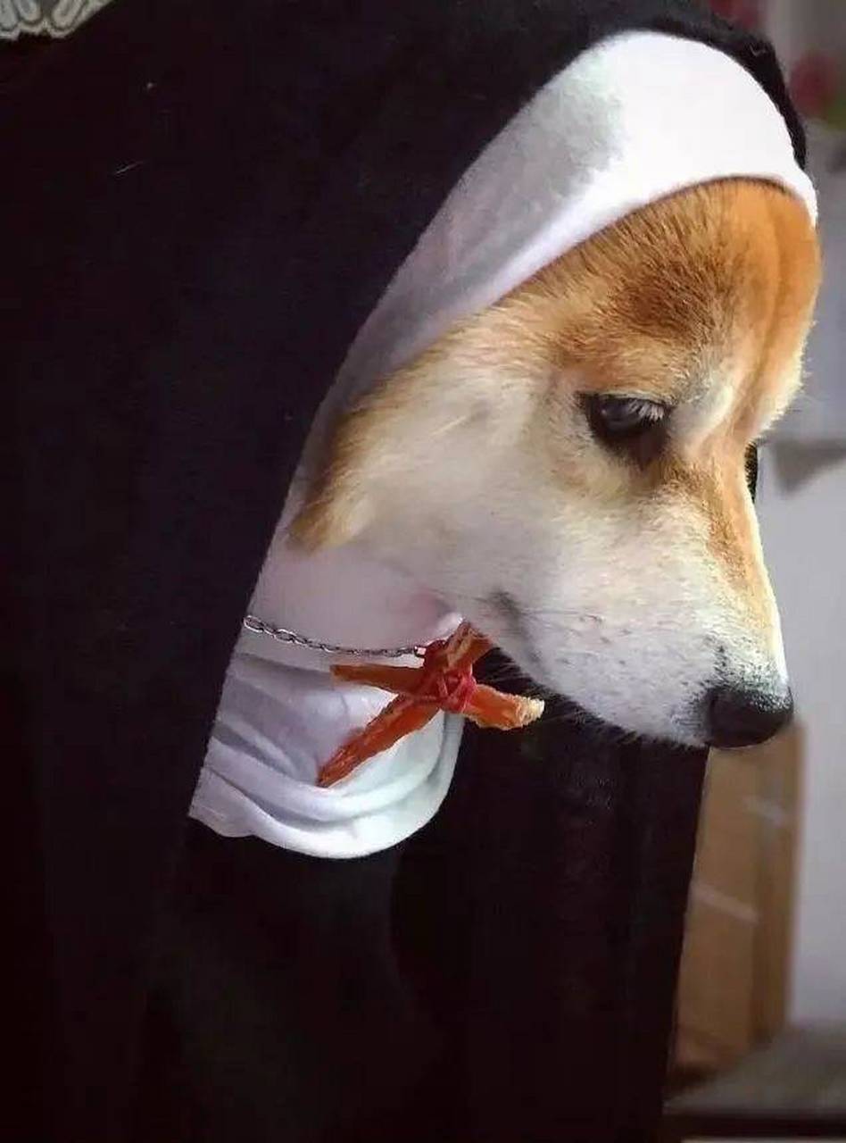 我也不想看破红尘,可是很多事情强求不了,特别是爱情.#趣图搞笑# #搞