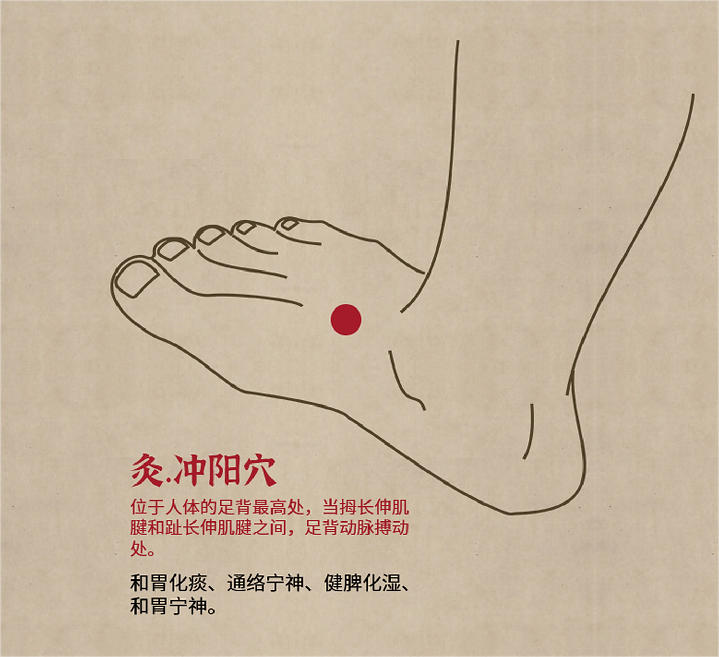 冲阳穴有和胃化痰,通络宁神的功效,健脾化湿,和胃宁神的作用.