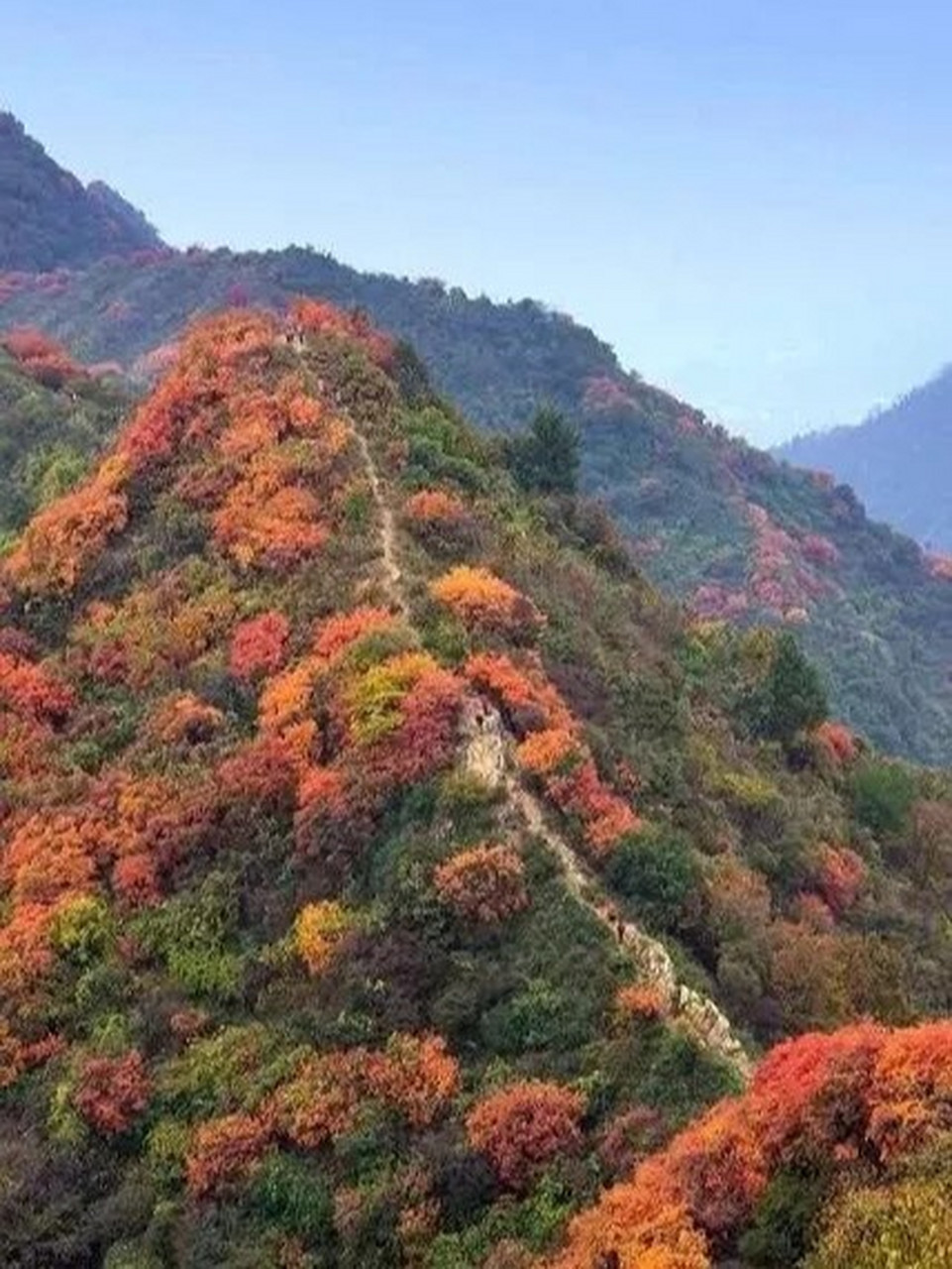 團標峪位於秦嶺北麓[友軍] 周至縣樓觀鎮團標村 屬於秦嶺七十二峪之一