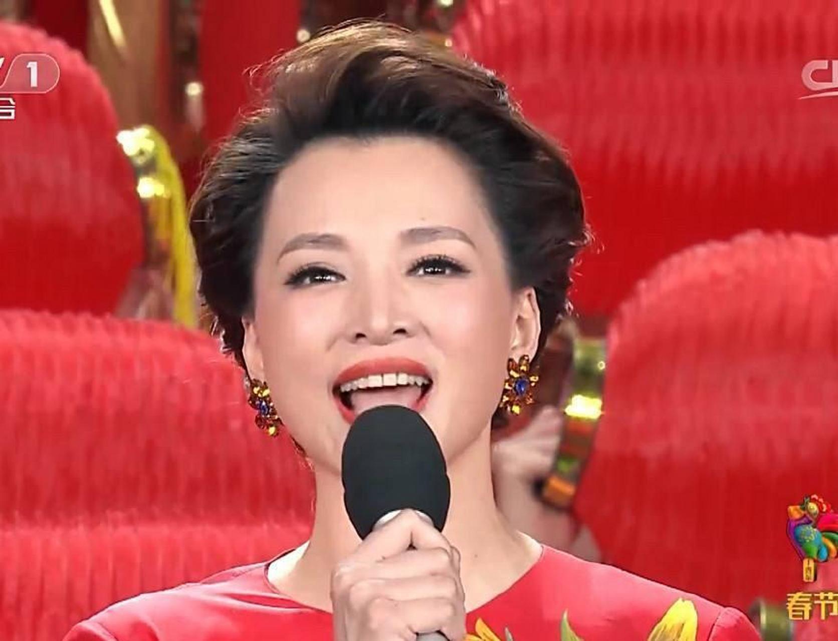 2019年央视春晚主持阵容曝光 董卿再次无缘春晚主持