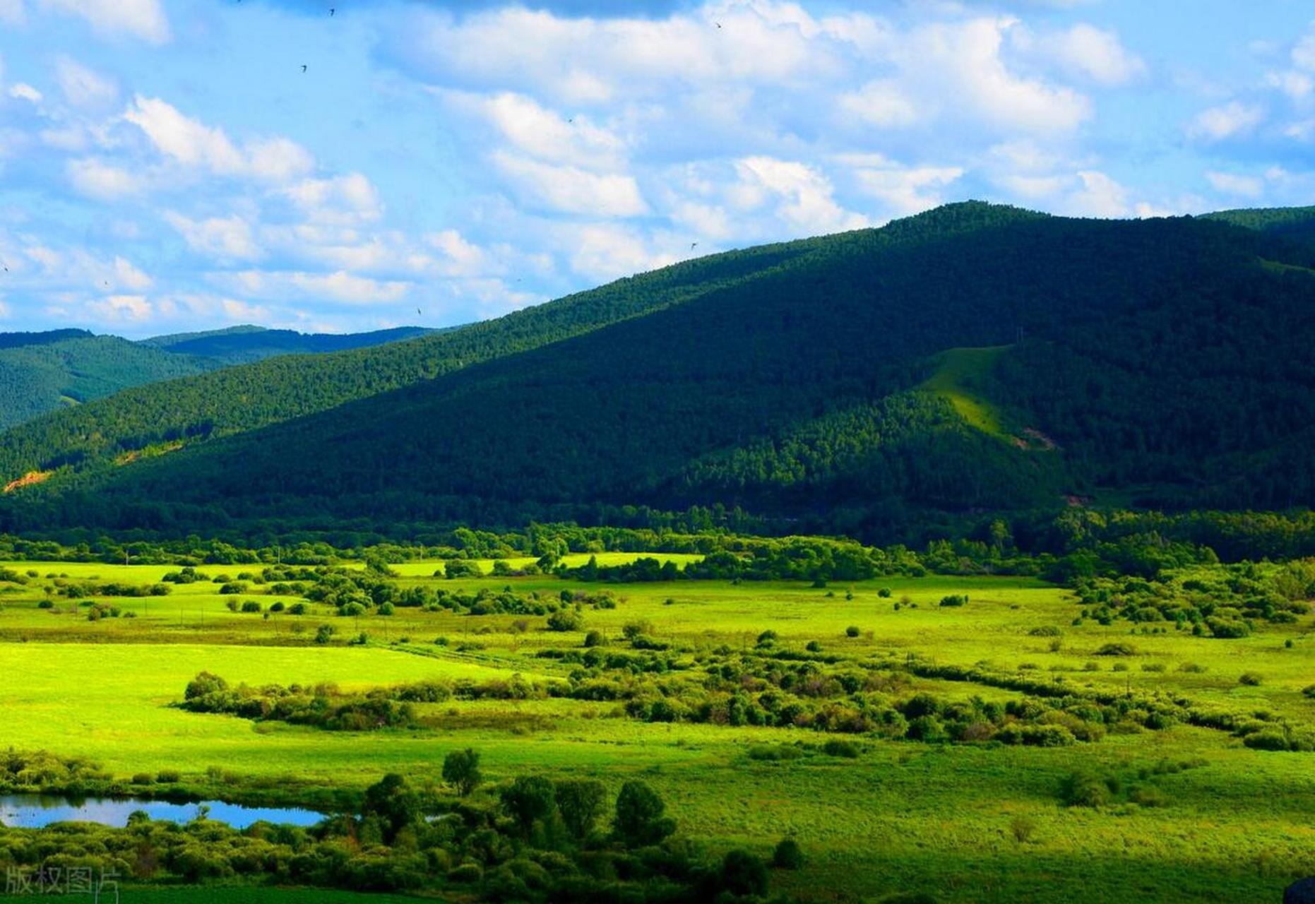 如果你不想赶路,不想被酷热的天气折磨,阿尔山会是一个很棒的选择.