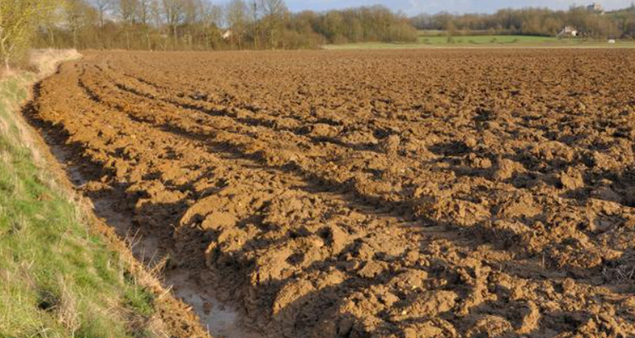 碱性大的土地怎样改良  如果土壤呈碱性,可以考虑以下改良方法来调节