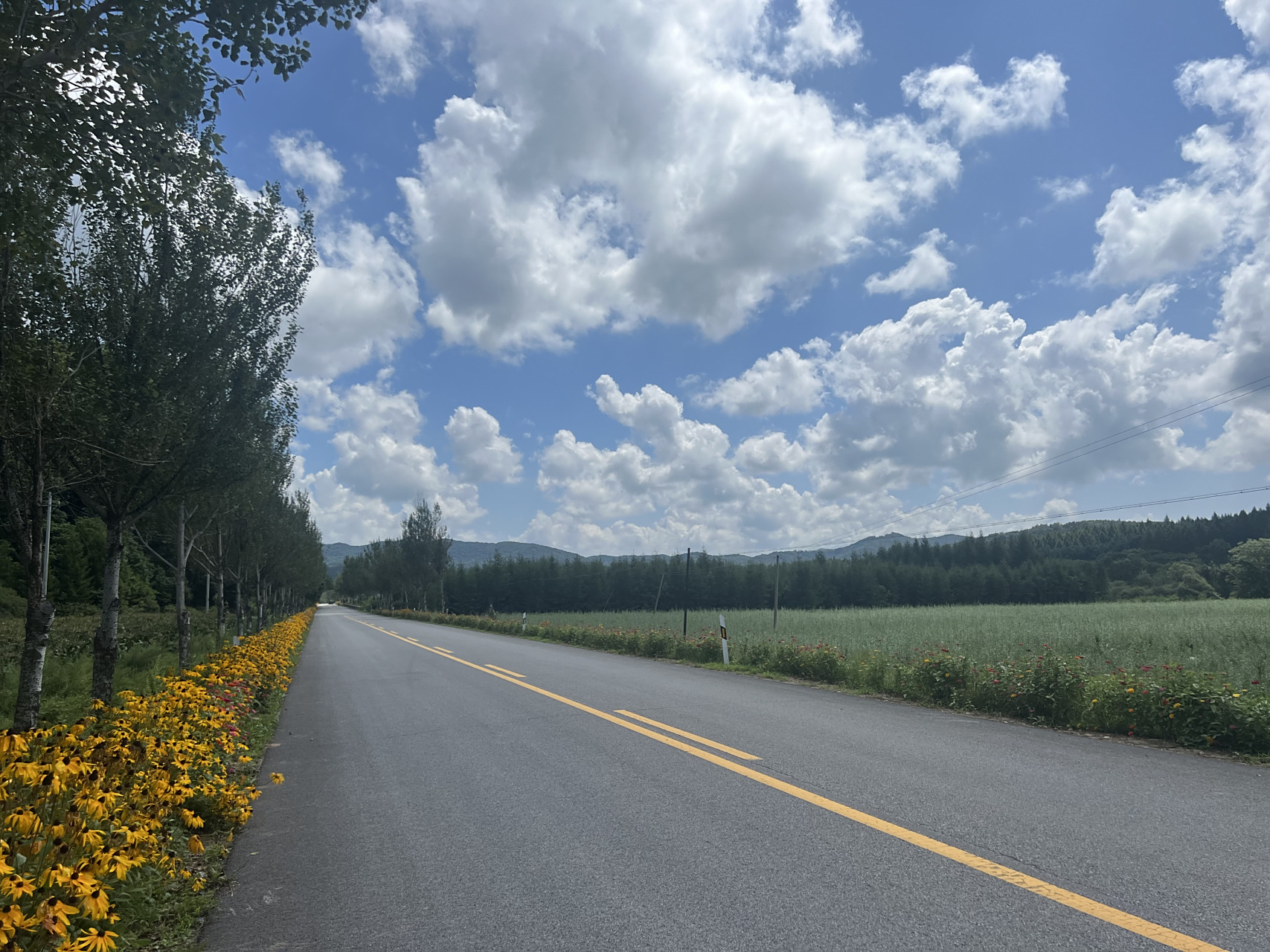 乡村公路景色美 #网红打卡地辽宁杠杠滴##美好辽宁欢迎您# #振兴新