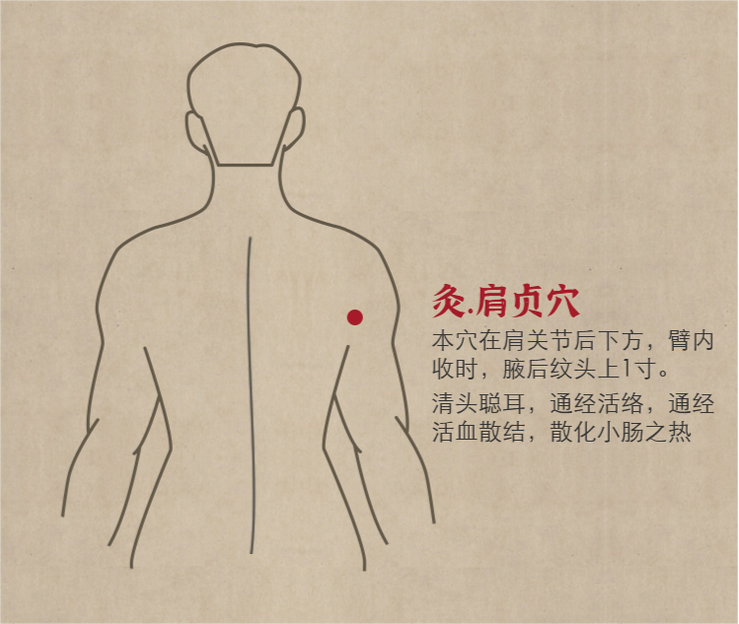 肩贞位置图图片