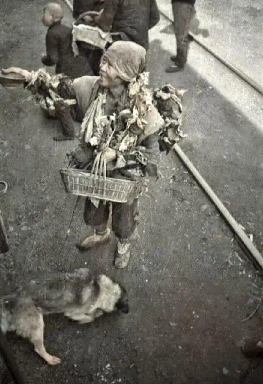 而这场大饥荒中受灾人数达到了3000万之巨,因此而死亡的人数达