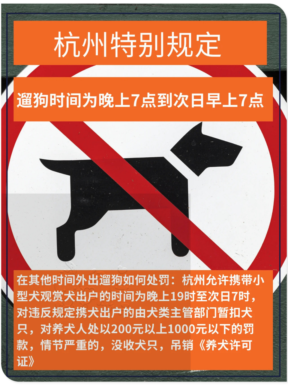 🔓 在其他时间外出遛狗如何处罚:杭州允许携带小型犬观赏犬出户的