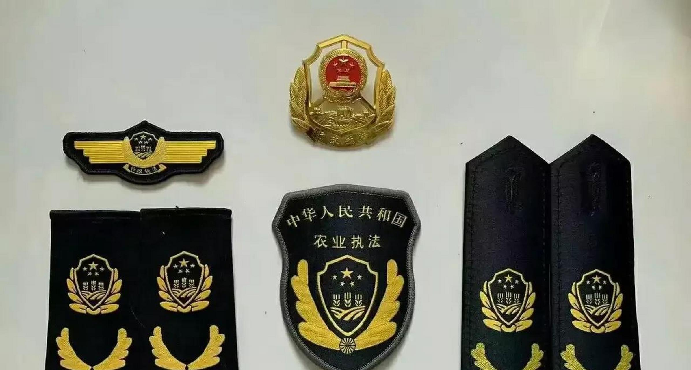 综合行政执法局帽徽图片