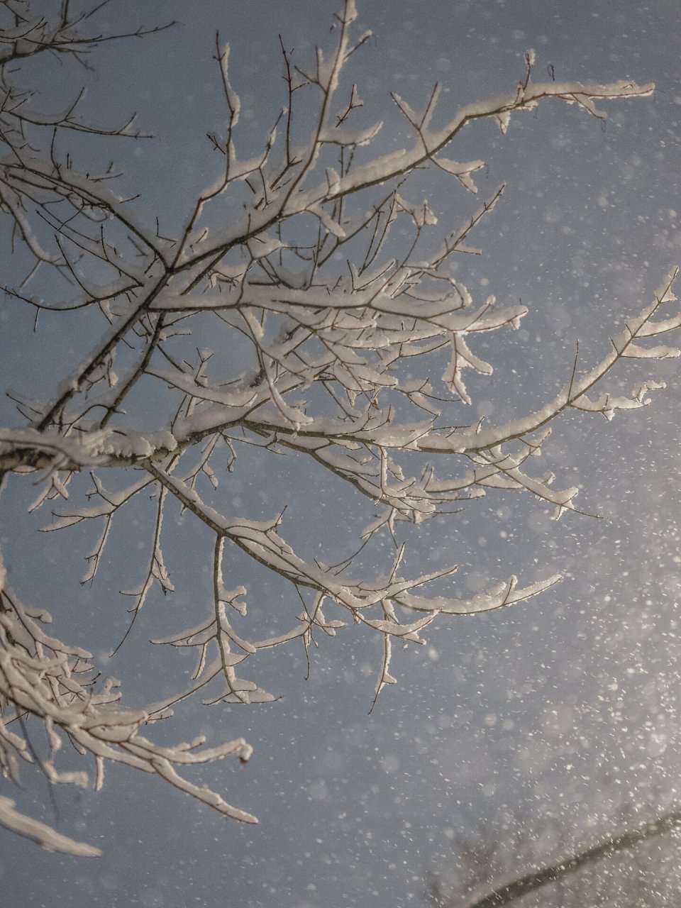 手机拍摄雪景技巧图片