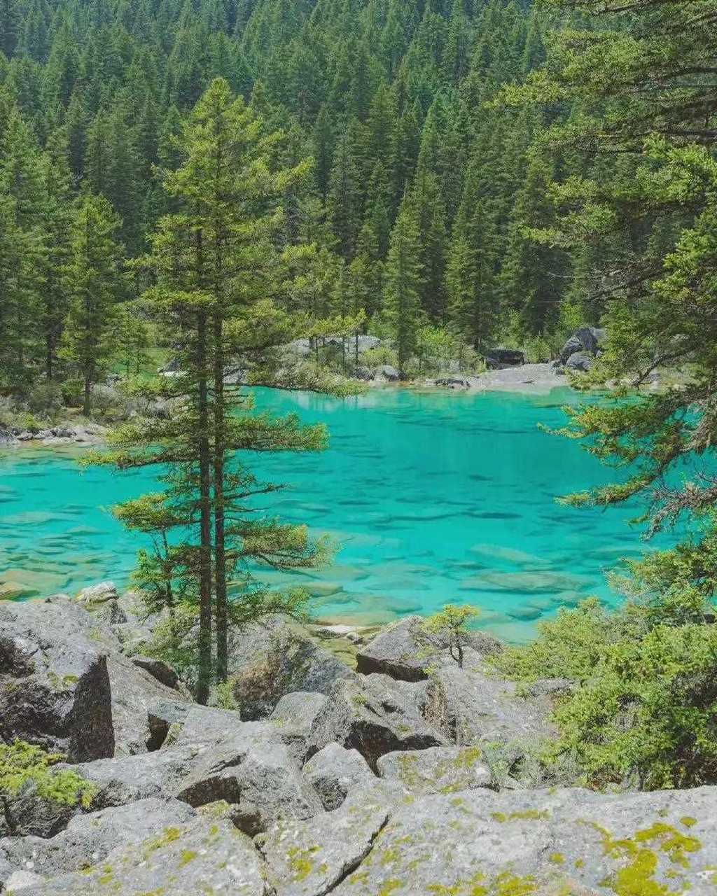 "野静山气敛 林疏风露长",幽静秀美的措普沟,绝对是日的避暑圣地啊