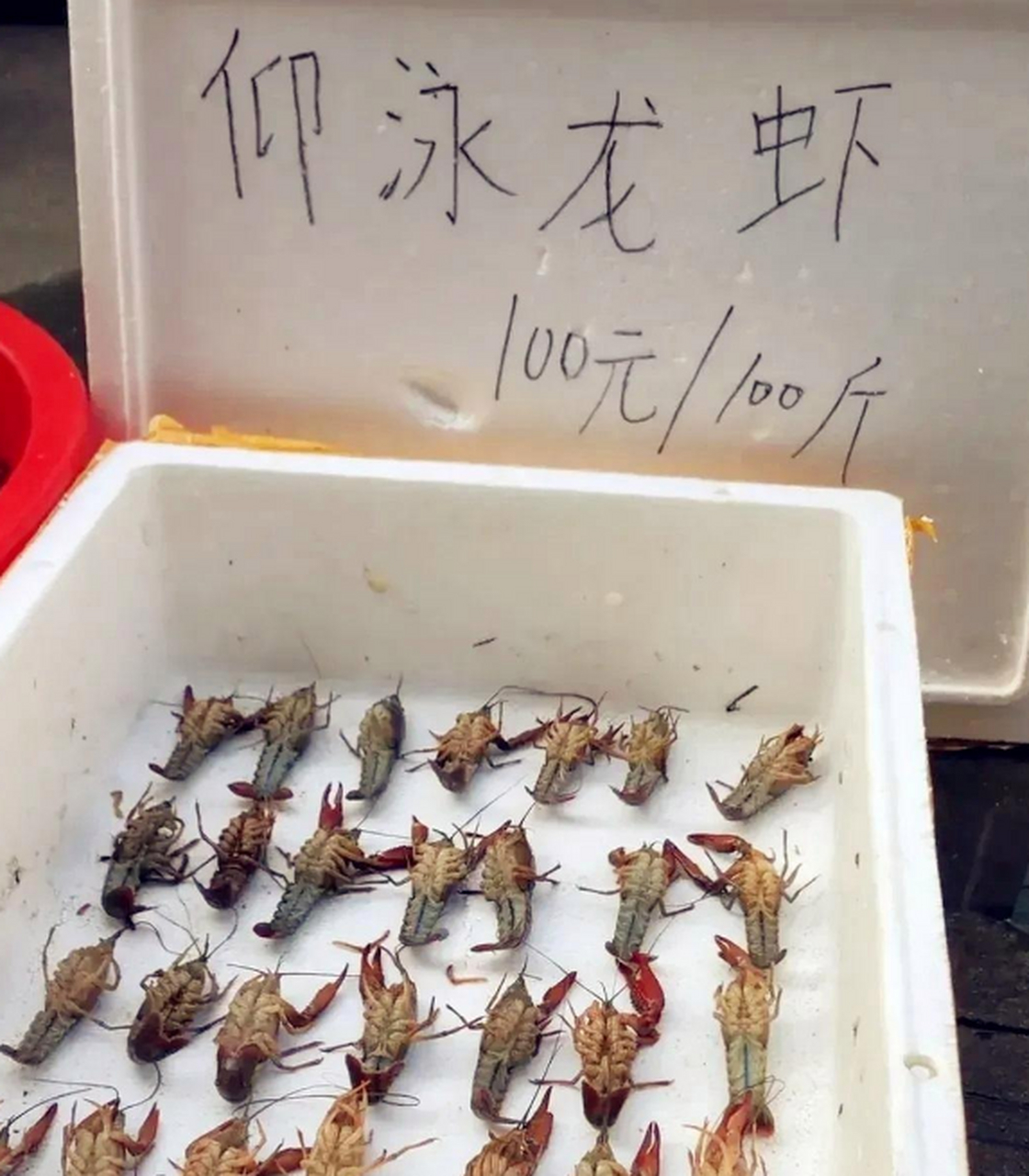 臭鱼烂虾拿出来卖,这些人良心不会痛吗?