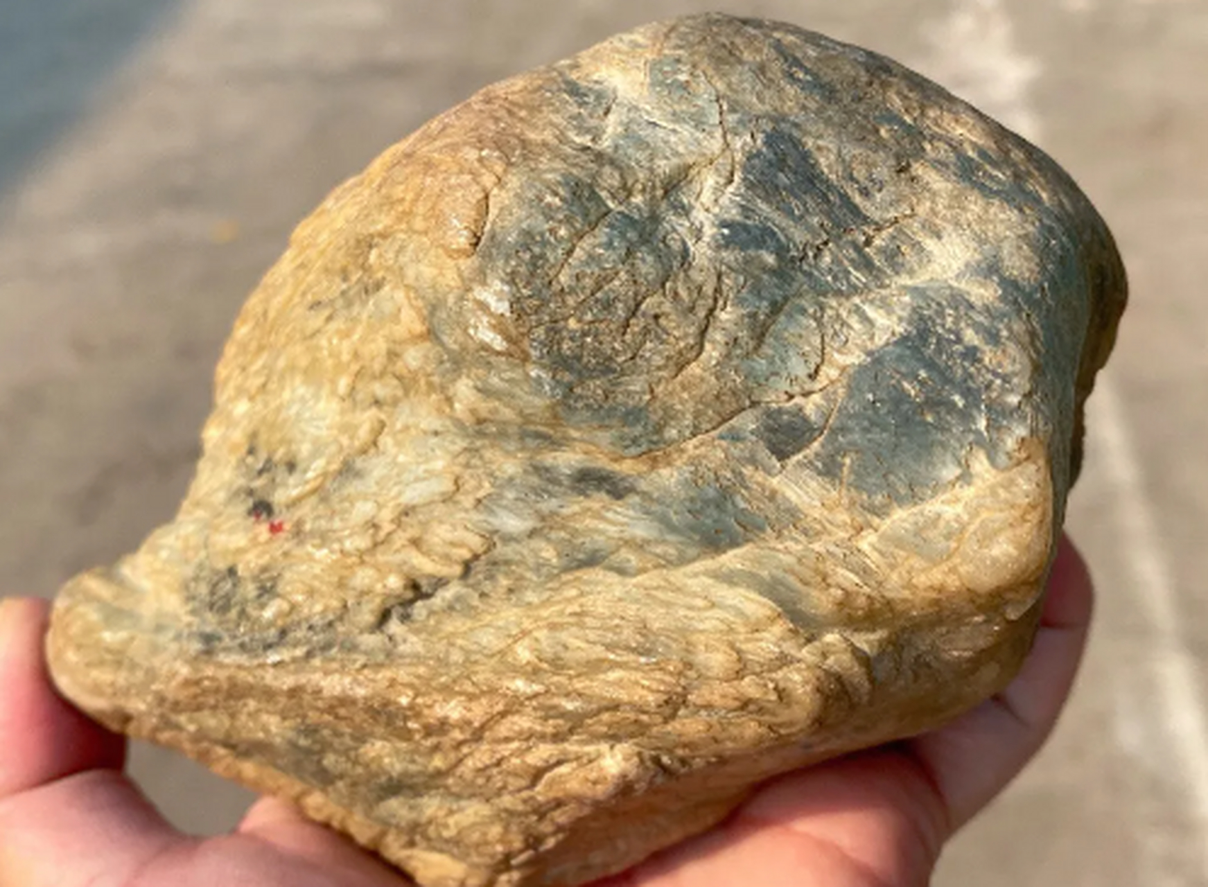 点击头像看直播##翡翠原石#莫西沙包浆皮,670克,尺寸:10.2-8.5-4.