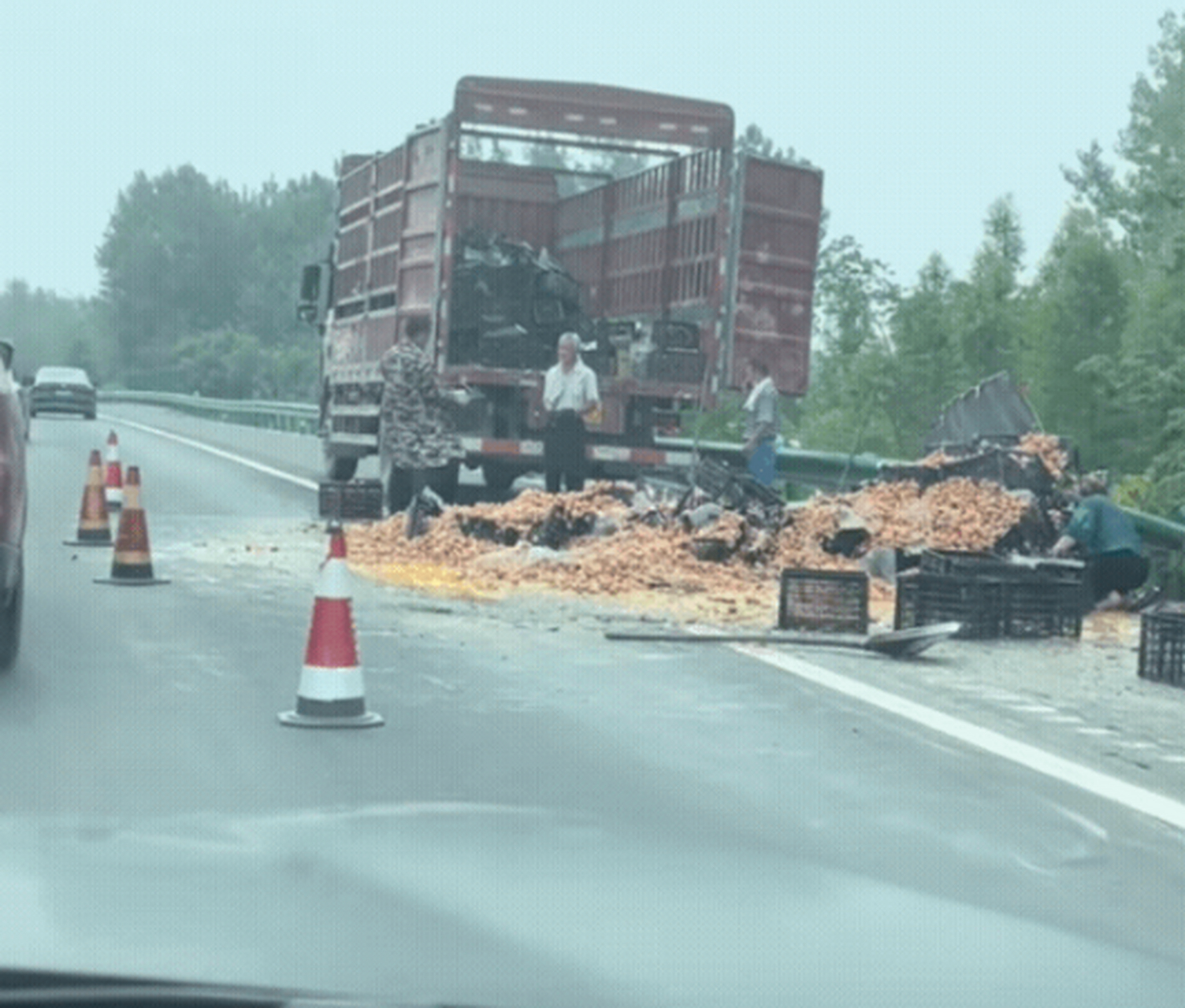 一車雞蛋就這麼沒了,這趟車又白跑了,一個子沒掙到,還倒貼錢了.