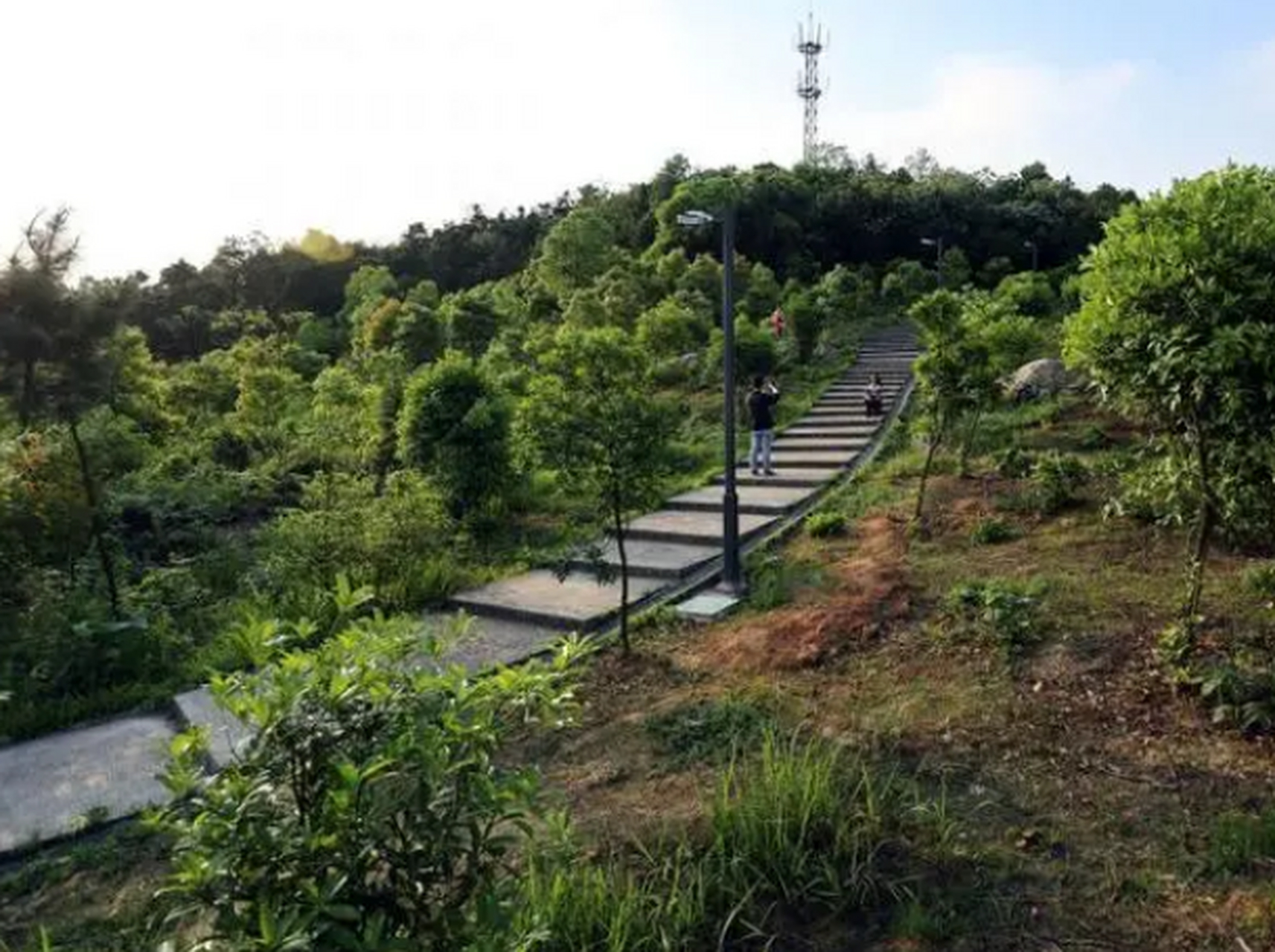 金霞山图片