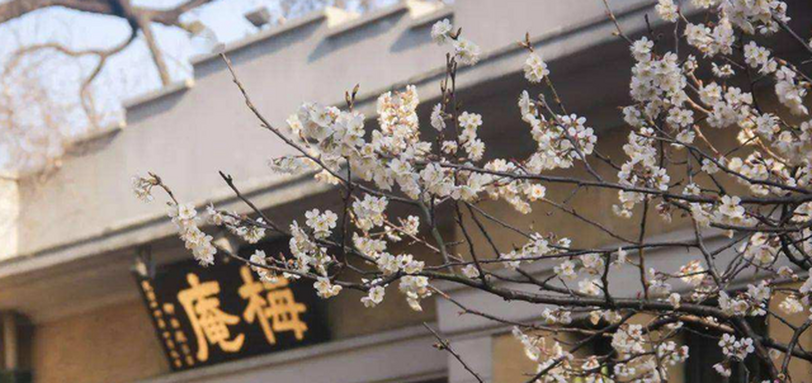 公元1642年,董小宛与冒辟疆结为连理,其后二人互敬互爱,度过了9年较为