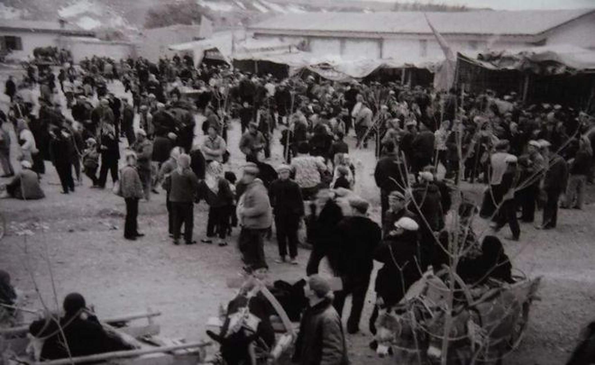 领动计划# 【故乡老照片】五十年代新疆昌吉州奇台县物资交流会.