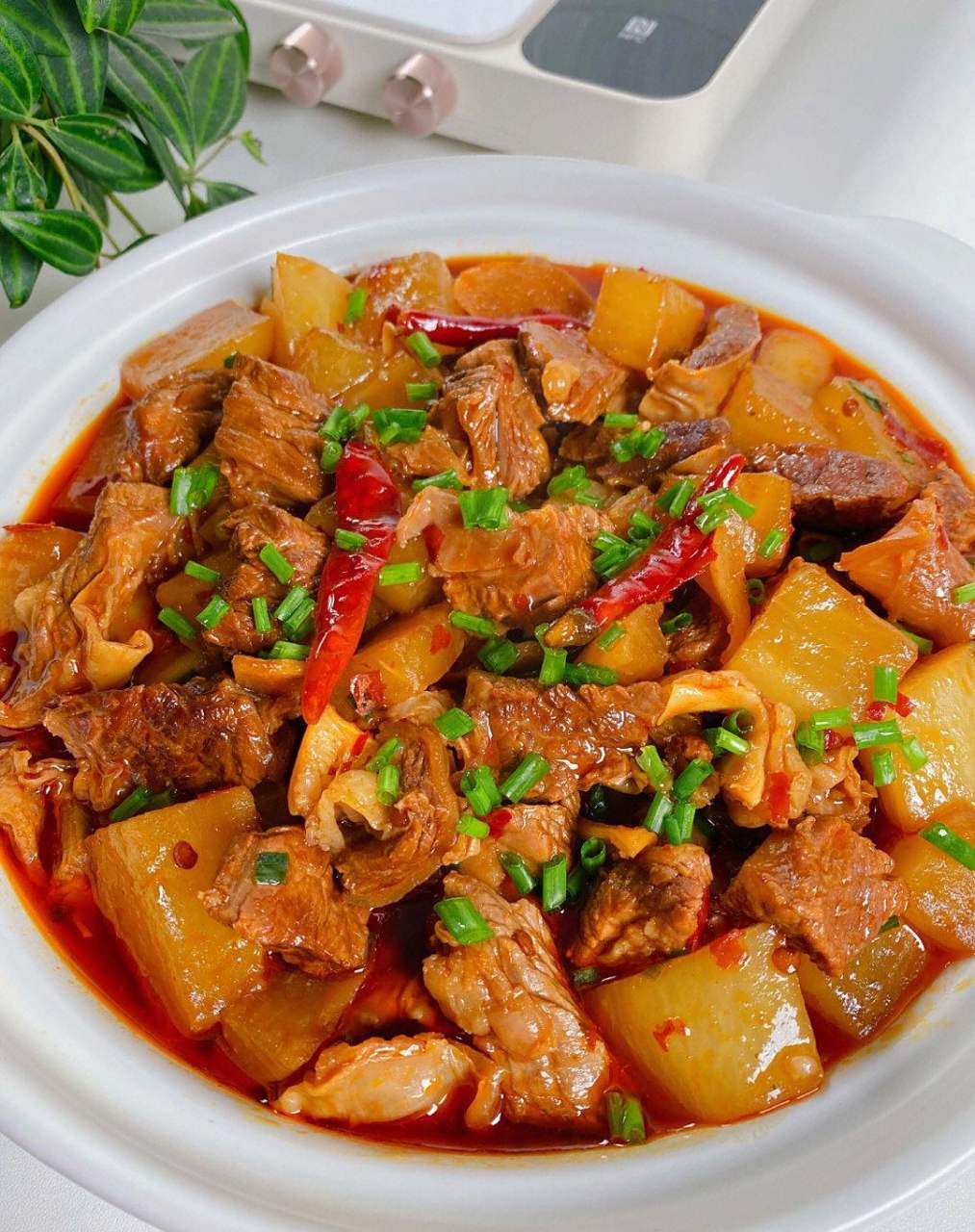 软糯入味的红烧牛腩炖萝卜,不好吃算我输 今天给大家分享一道红烧牛腩