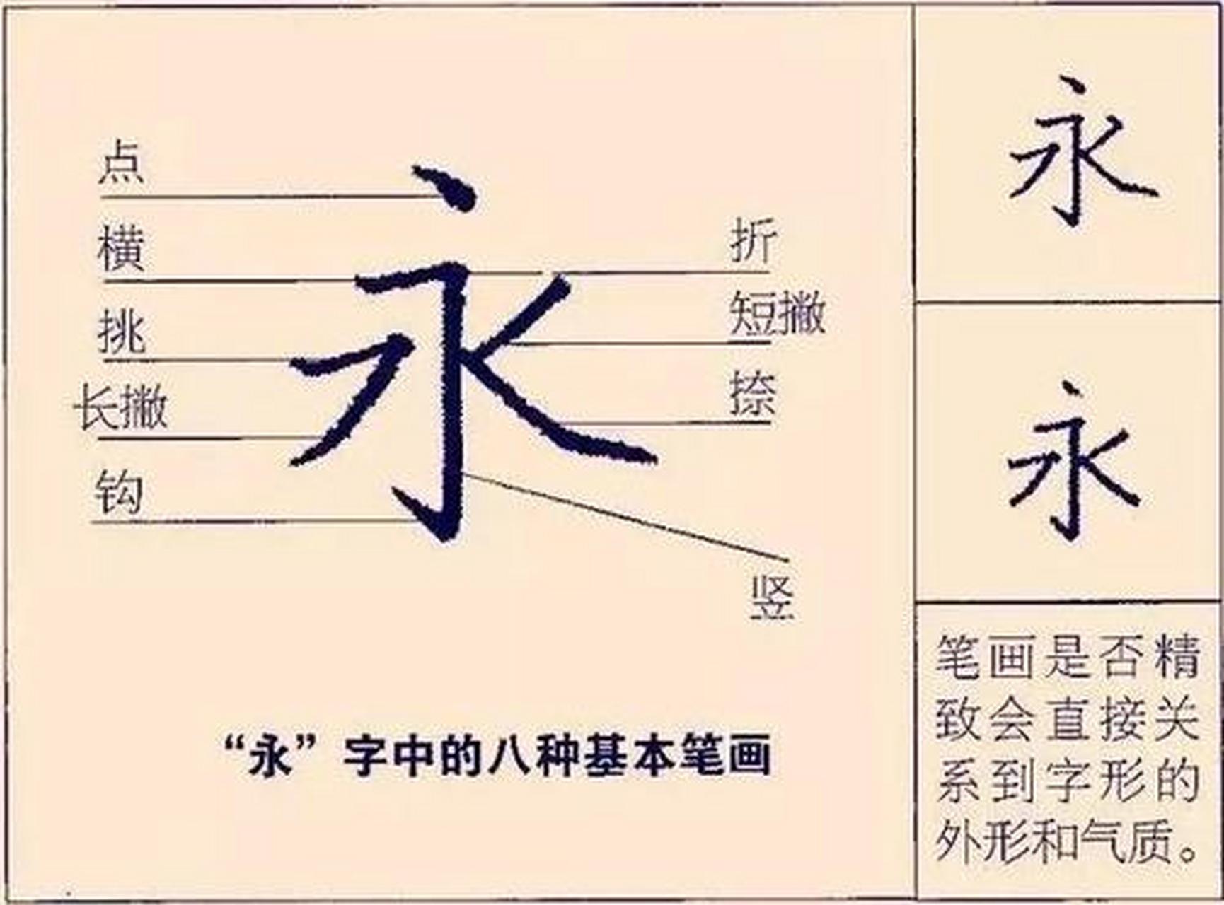 绝对干货:你所不知的练字小技巧#硬笔书法#永字八法#中国硬笔书法